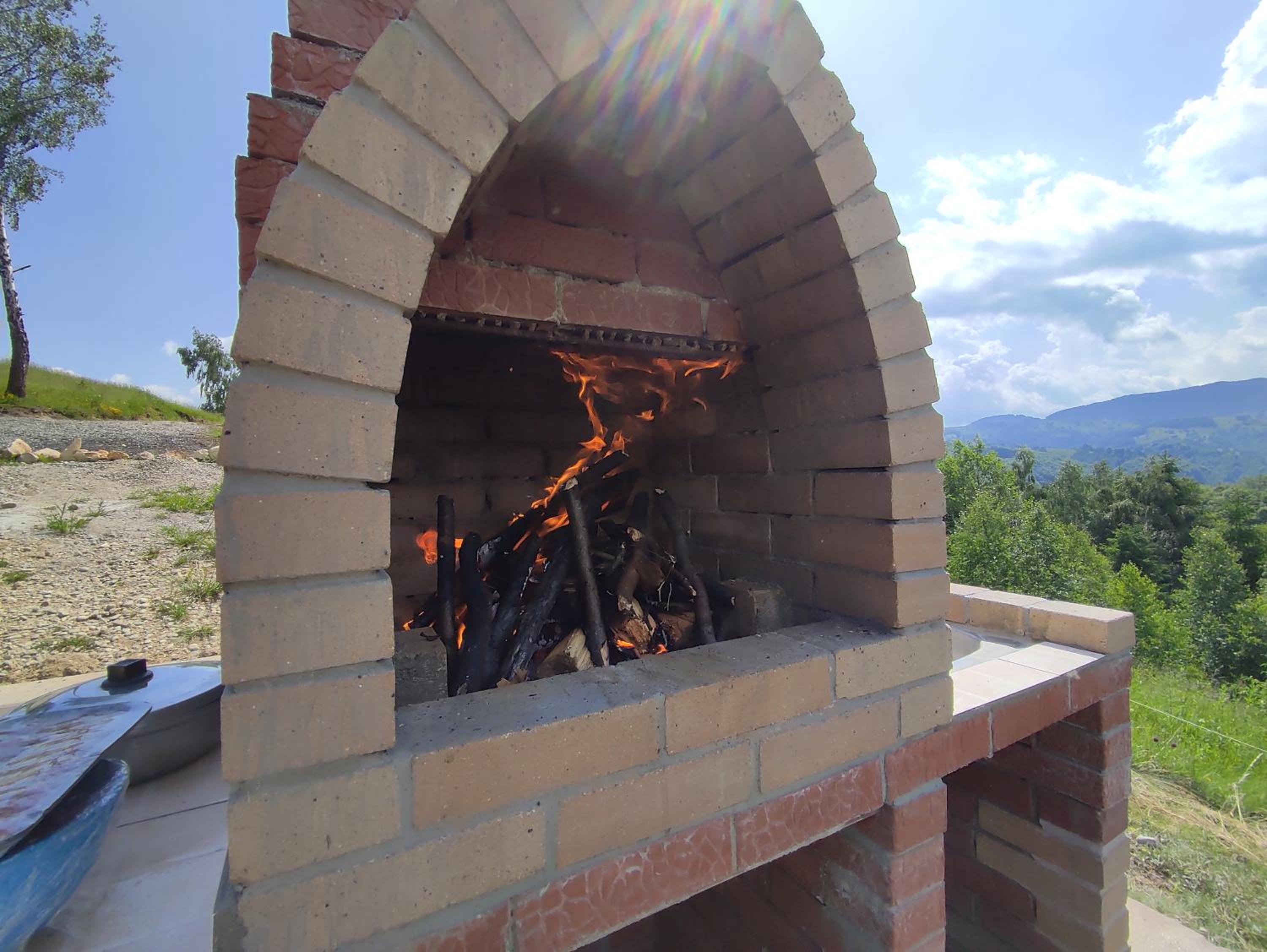 Cabana doi mesteceni