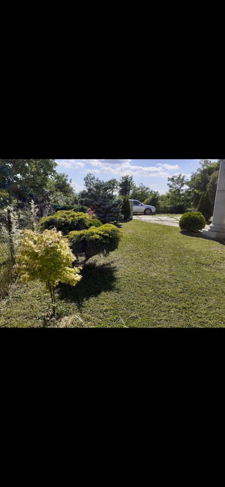 Photo 57
