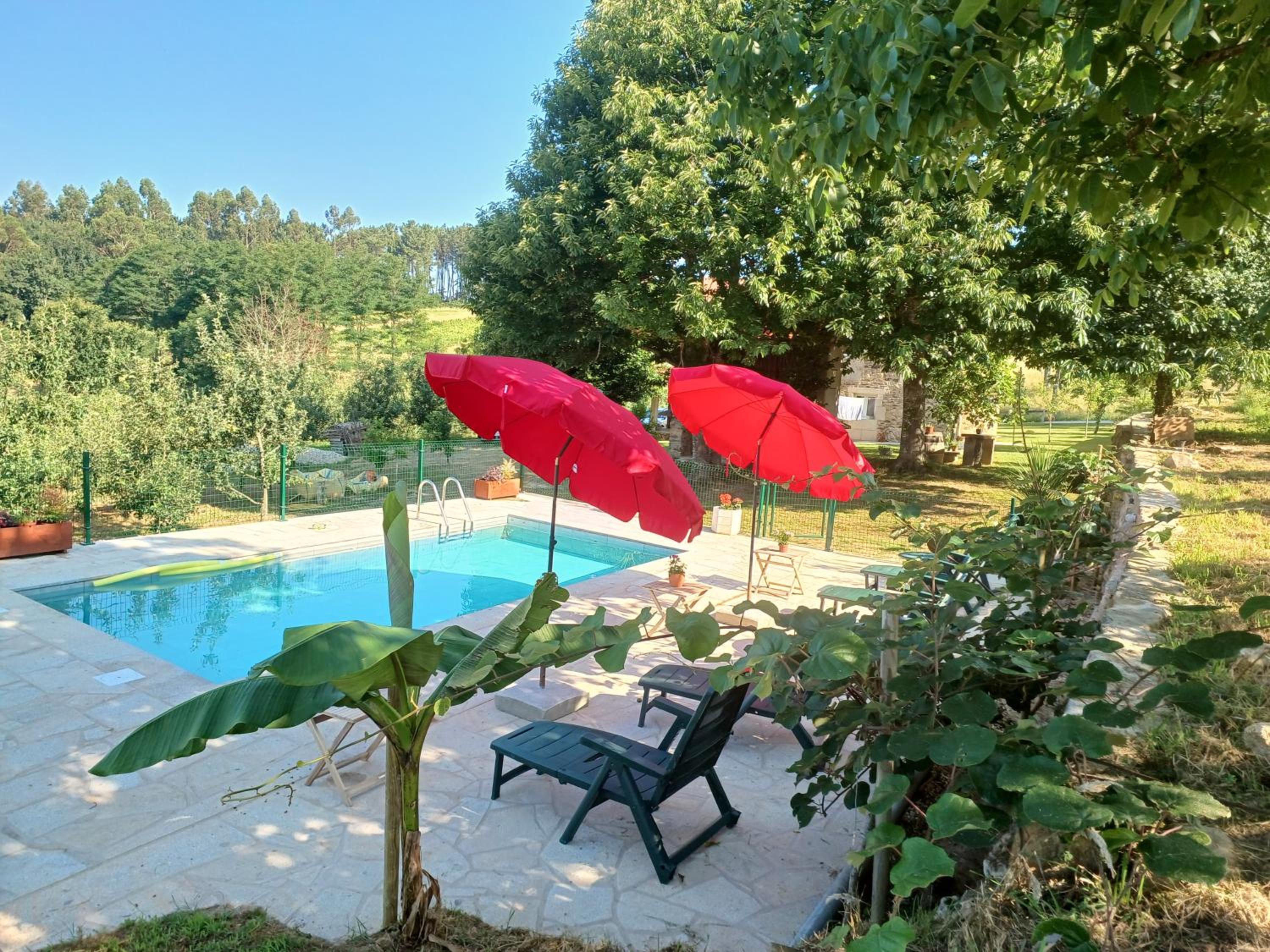 A Quinta Das Maceiras photo 2