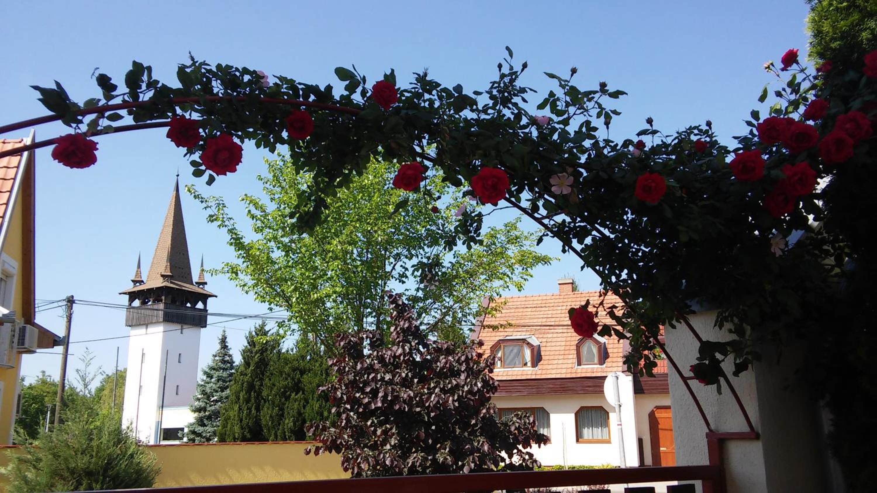 Photo 24