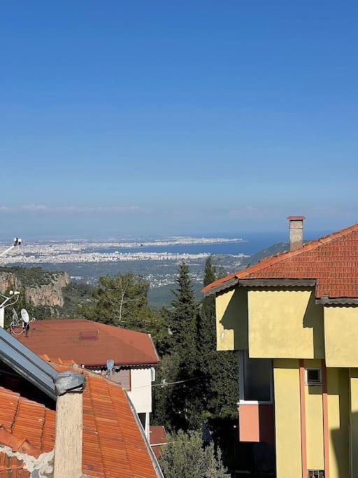 other