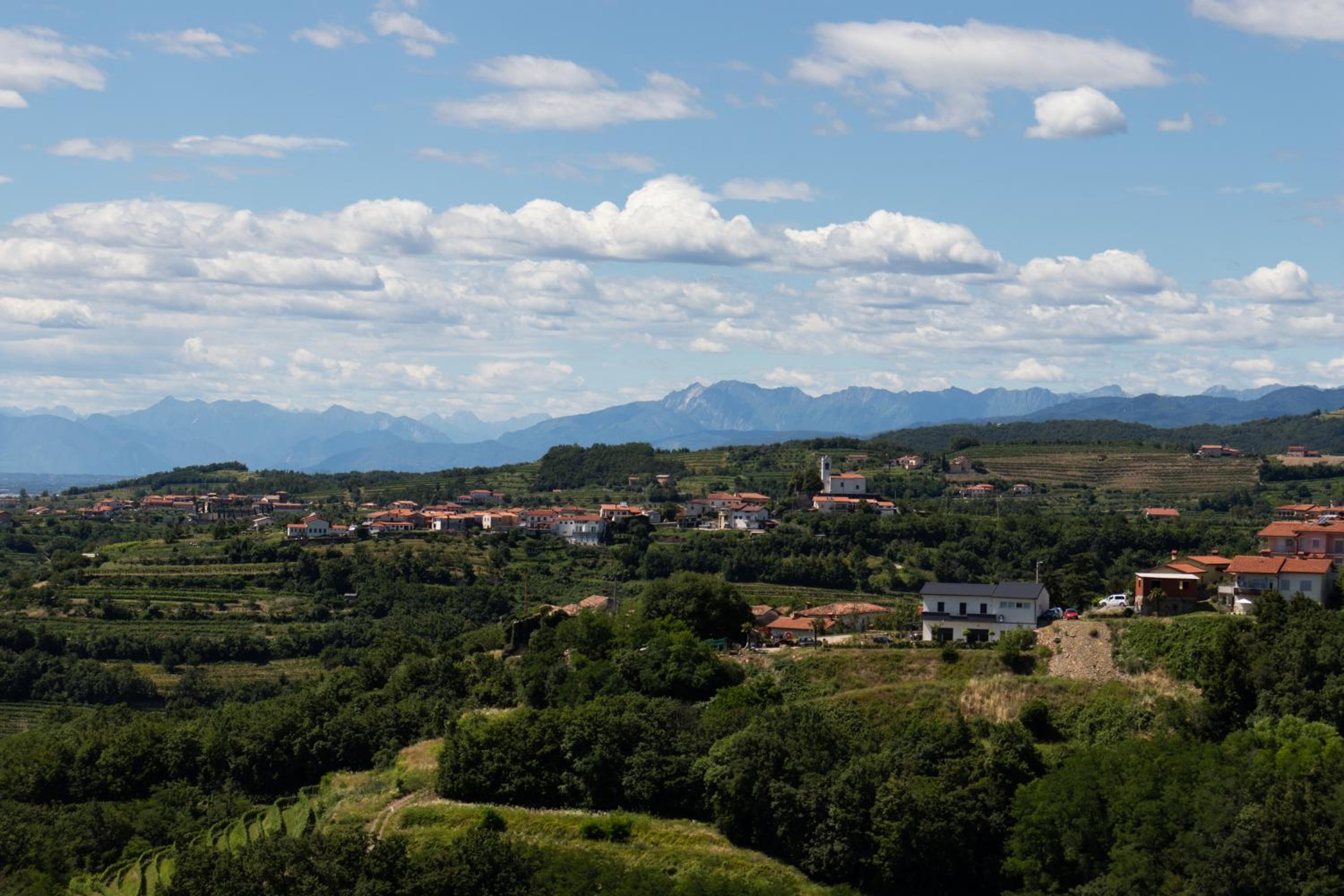 Vinoteka Brda view 4