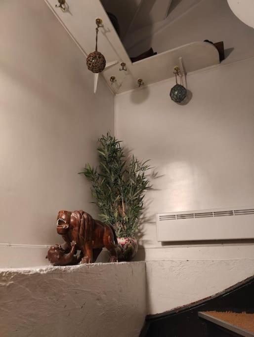Cozy family house view 4