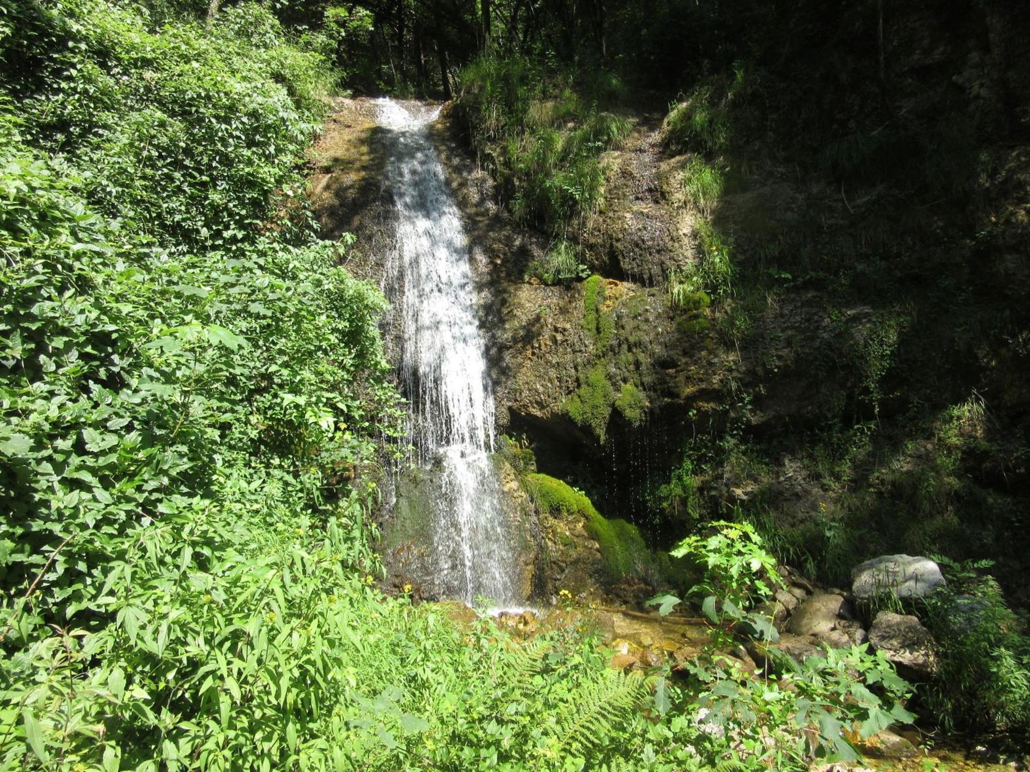 Photo 22