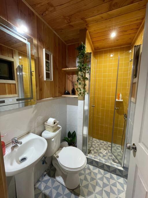 Tinyhouse Licanray
