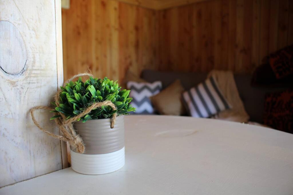 Tinyhouse Licanray