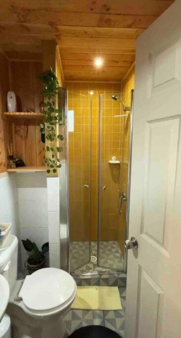 Tinyhouse Licanray