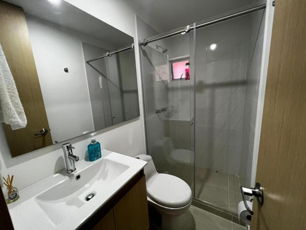 Hermoso apartamento la Francia 3 habitaciones