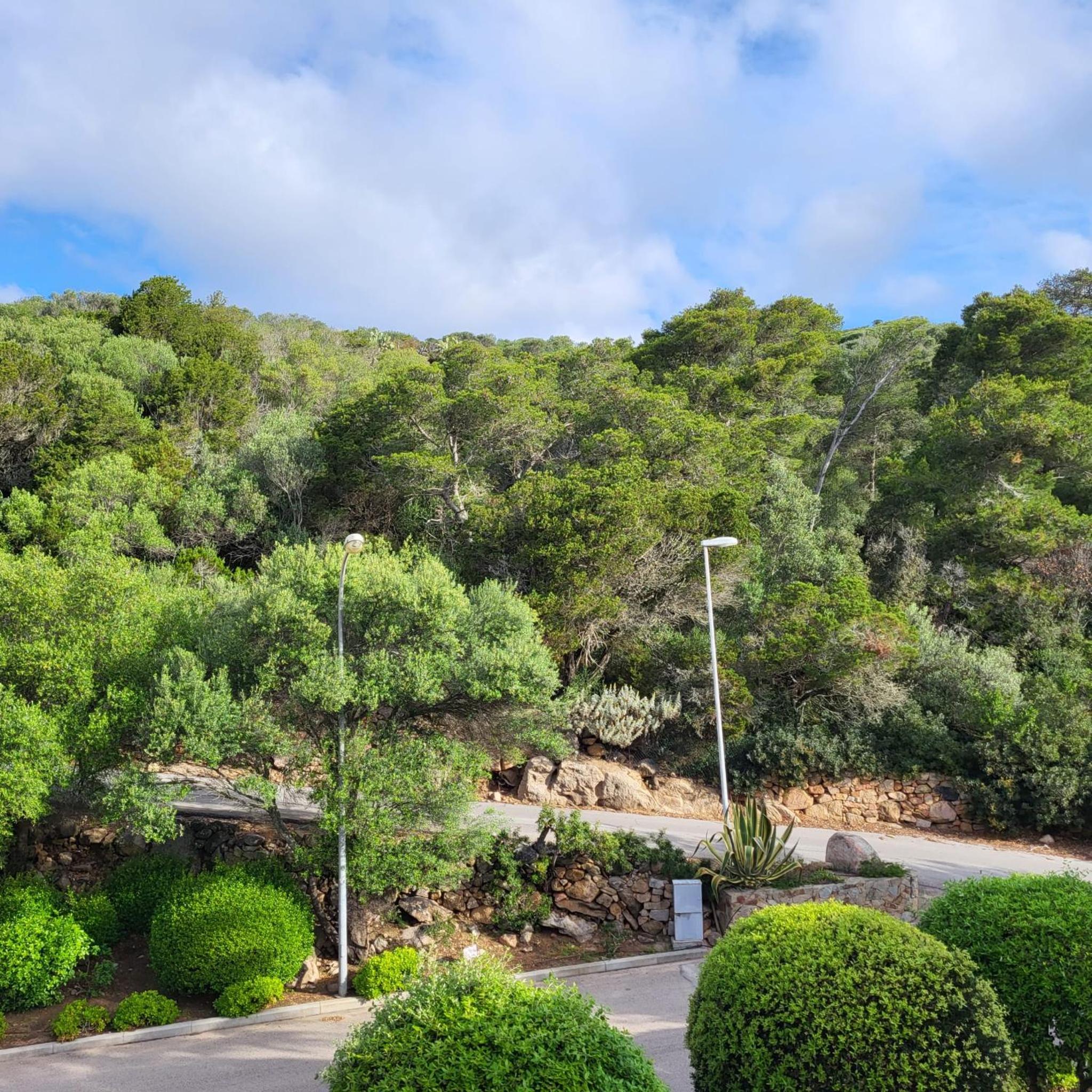 ANDREA HOUSE view 5
