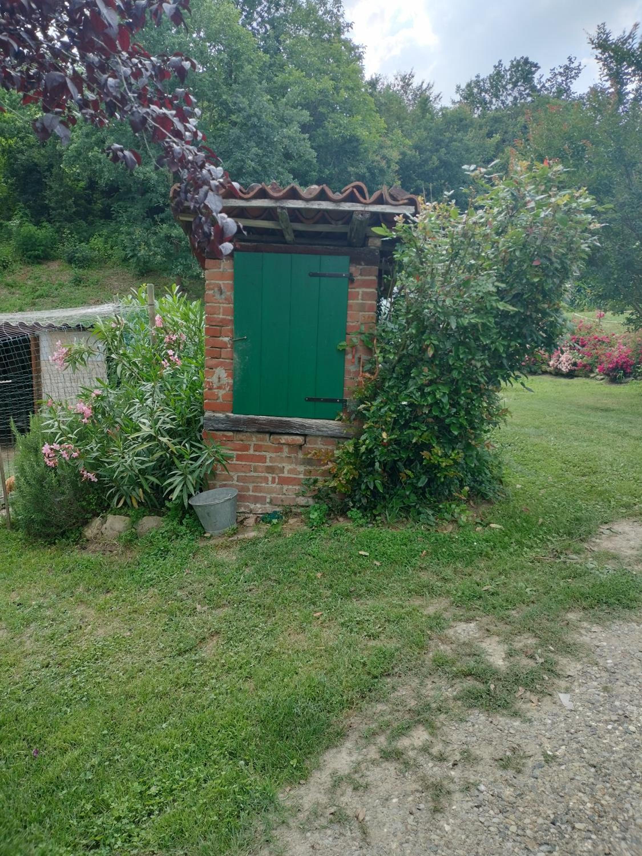 Photo 12
