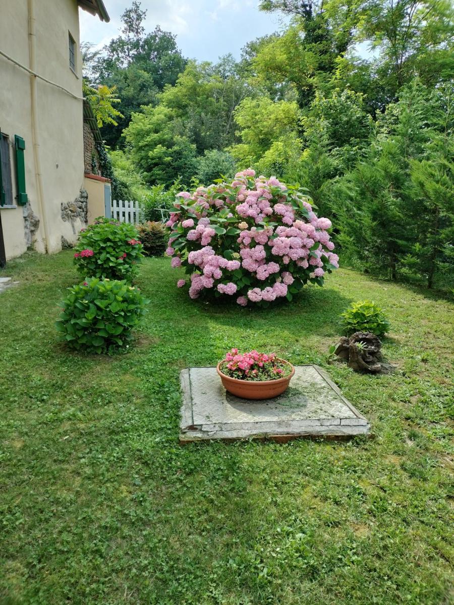 Casa relax immersa nel verde della natura view 3