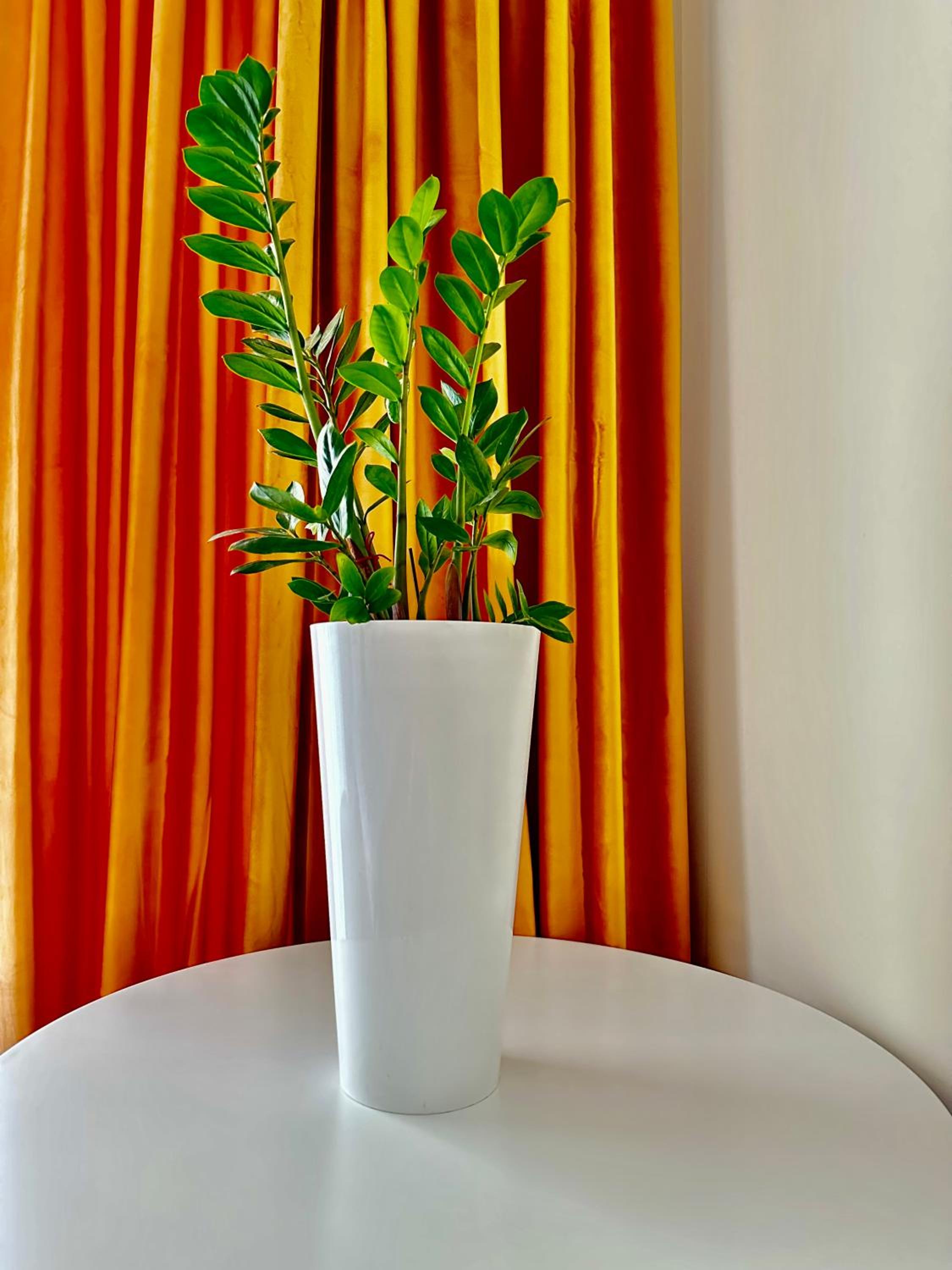 Nina apartment