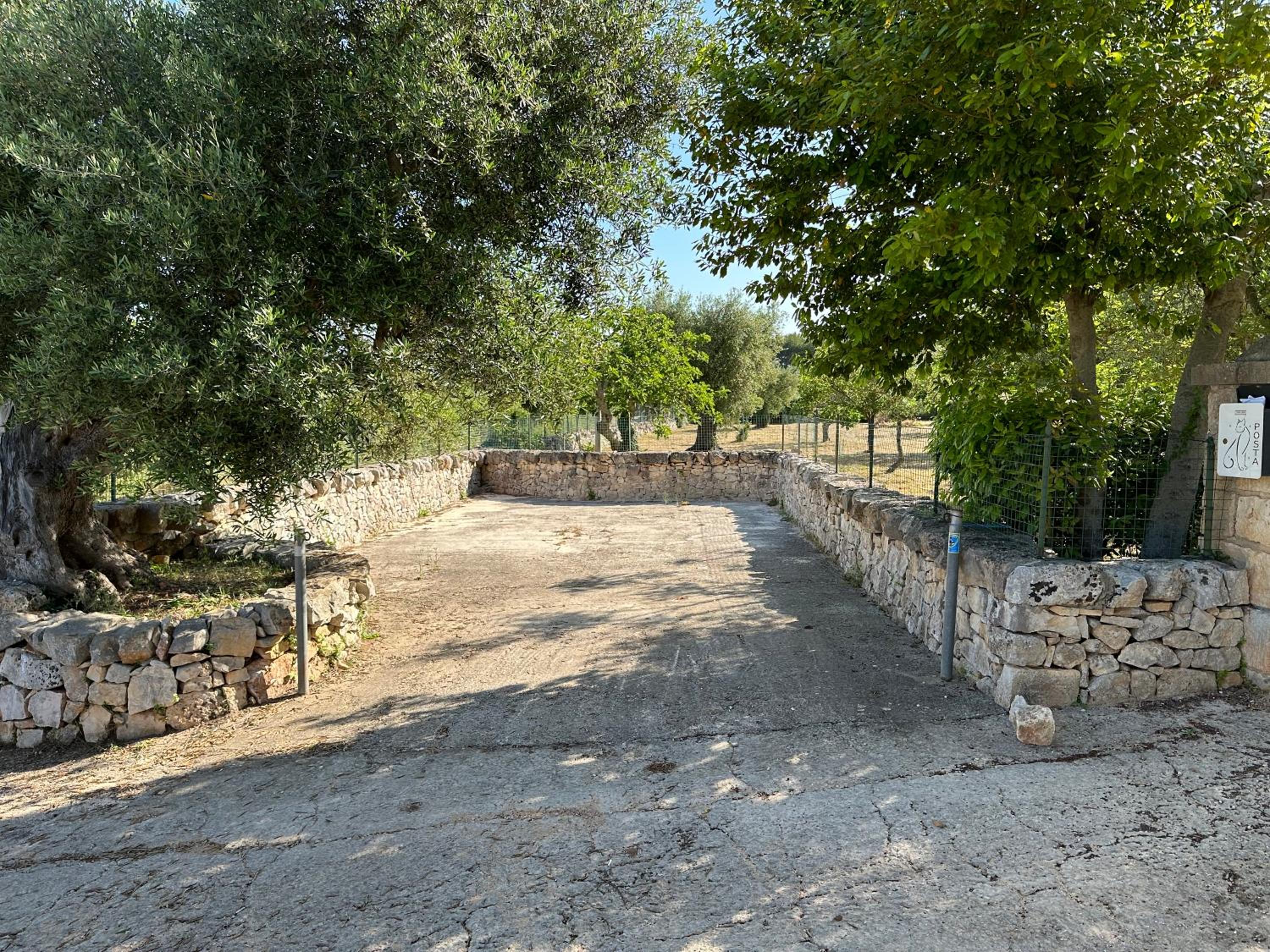 Photo 48