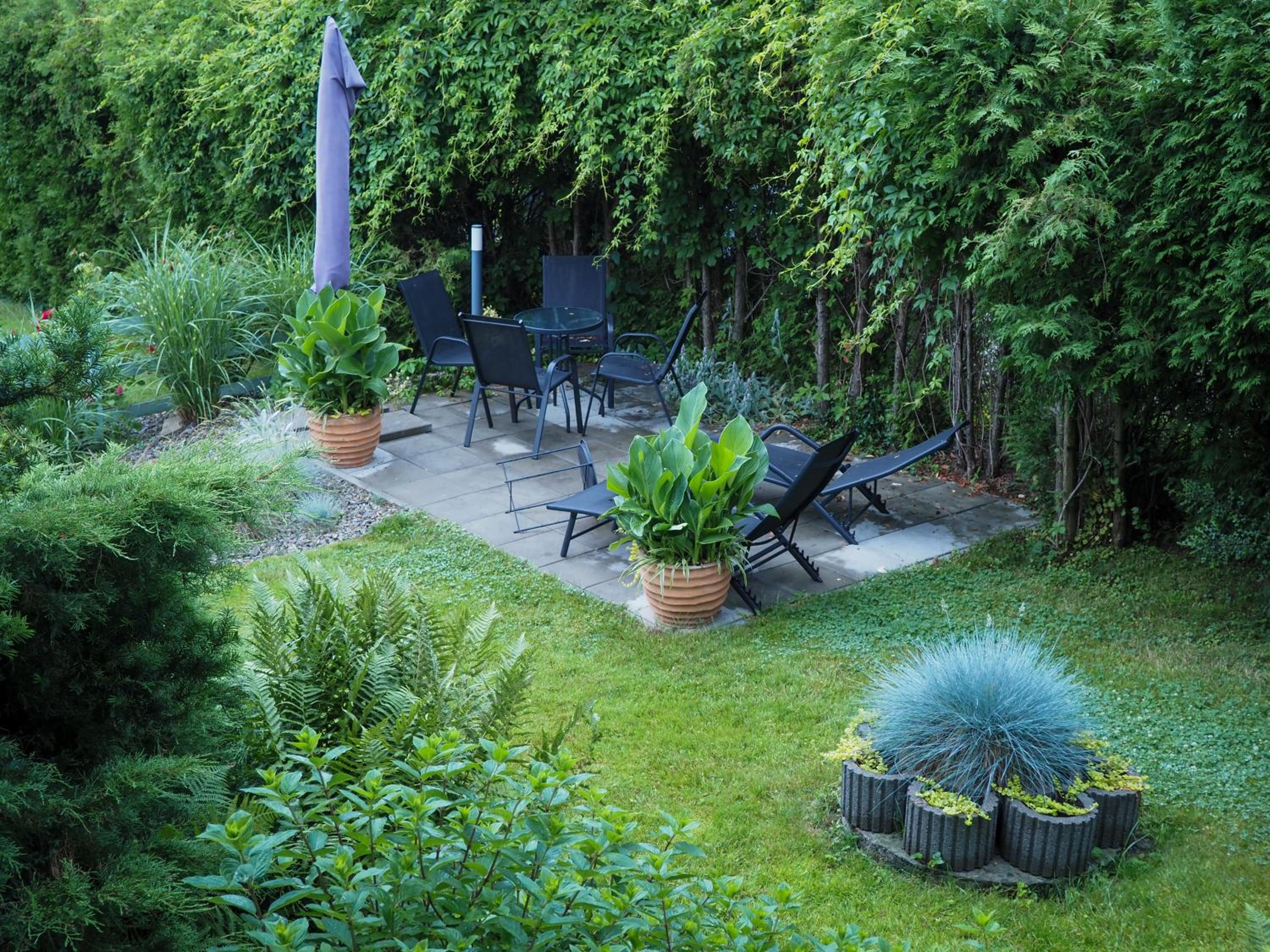 Apartamenty Świętego Wita, photo 11