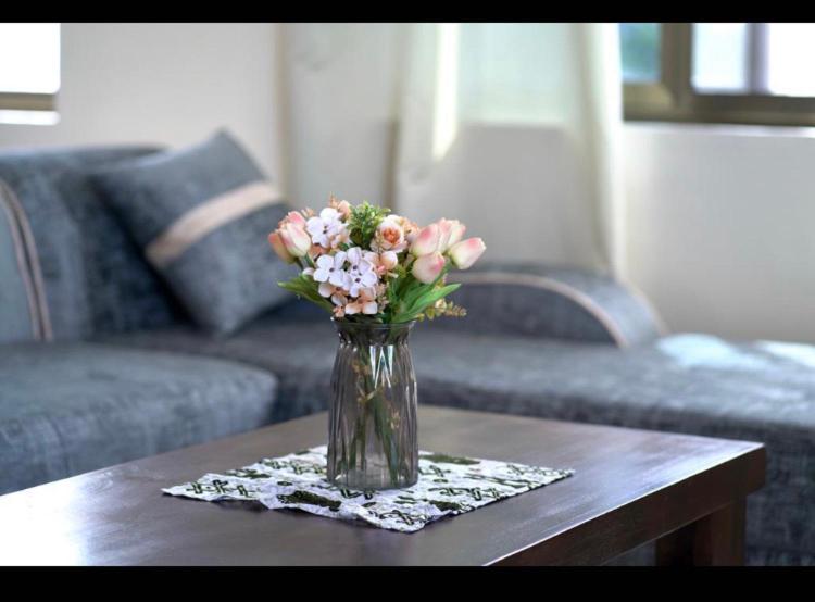 Résidence des Amazones Appartement 2