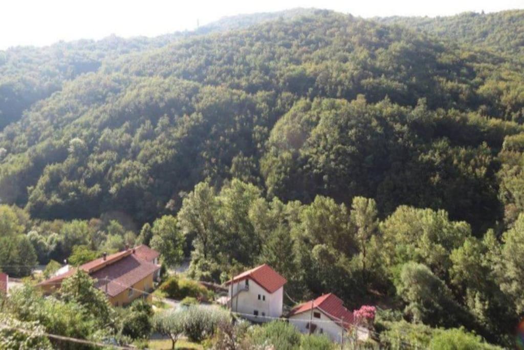 IL NON TI SCORDAR DI ME view 5