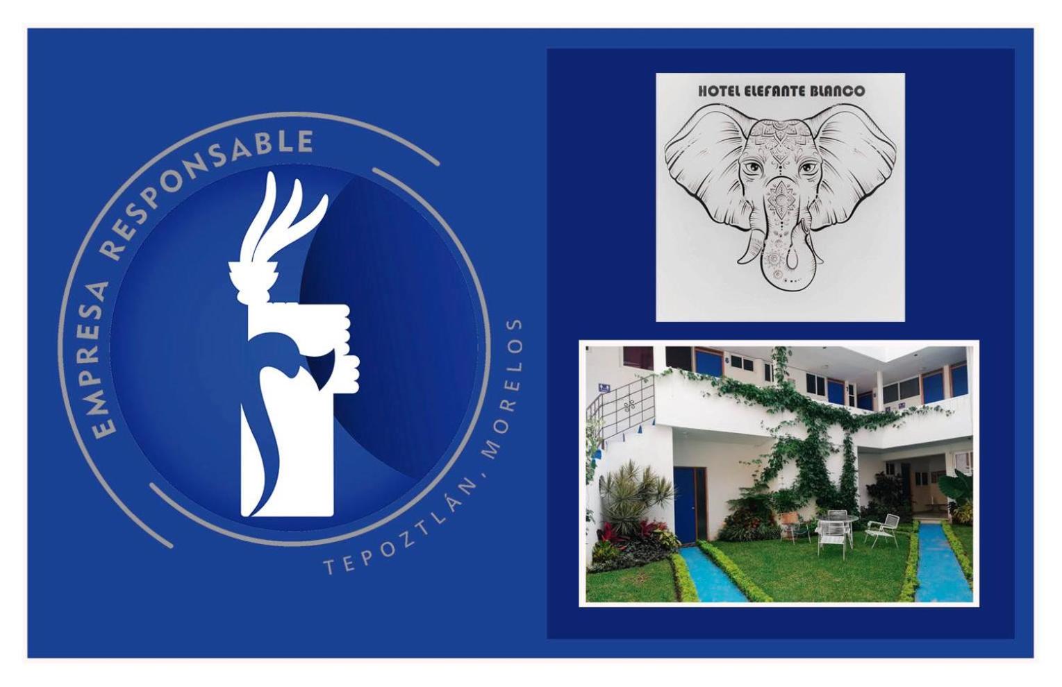 HOSTAL DEL ELEFANTE view 3