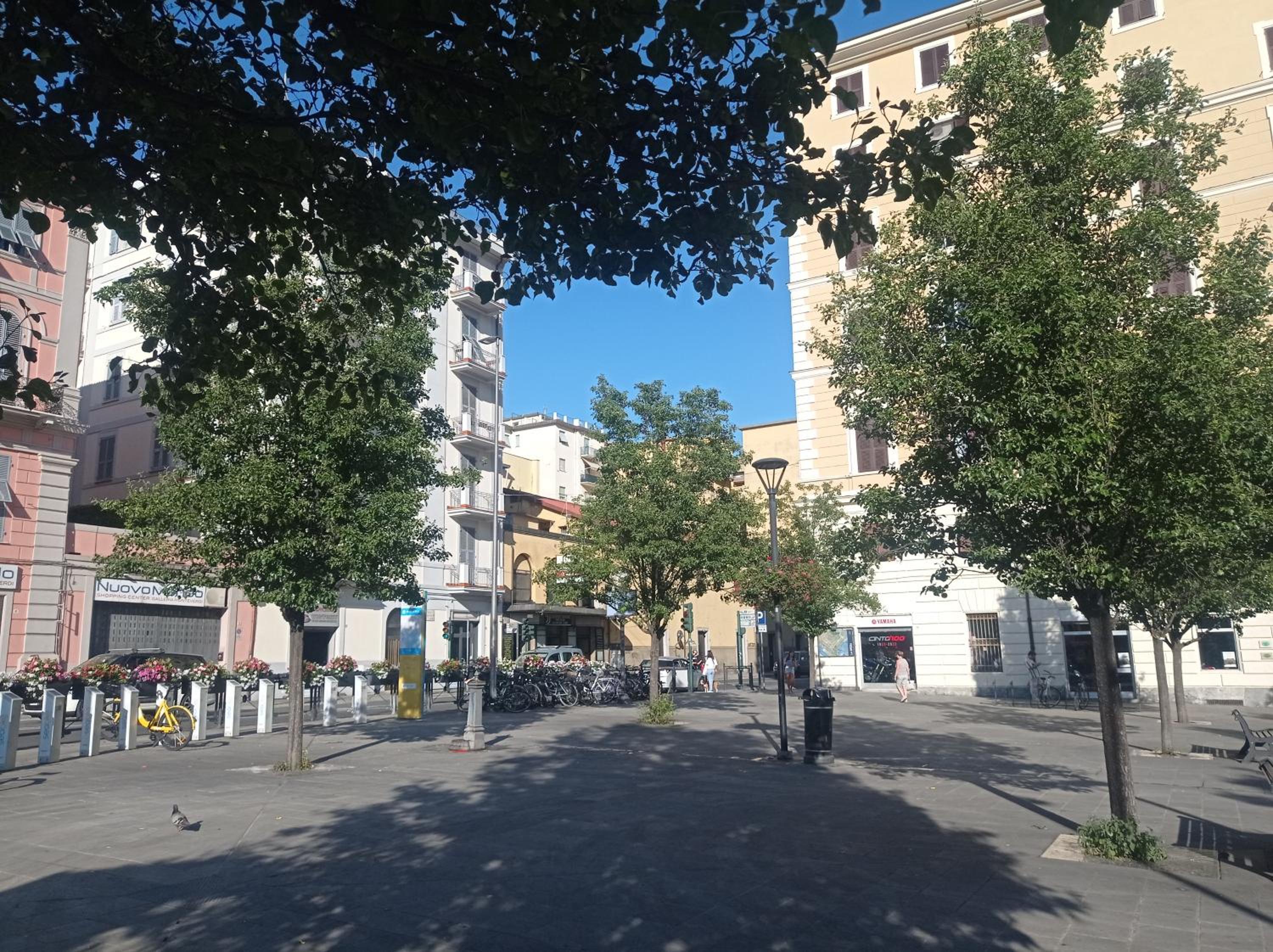 Photo 17
