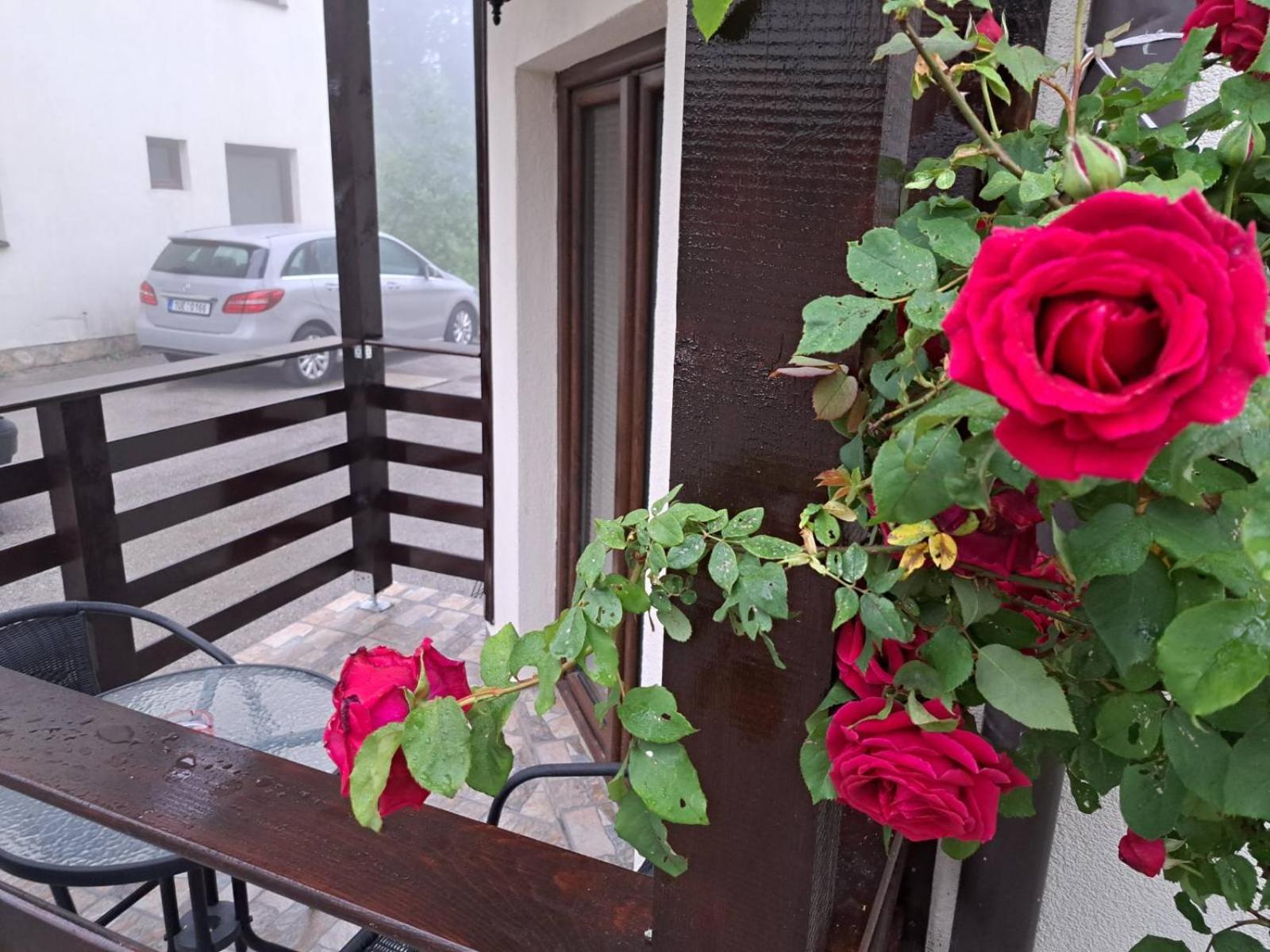 Apartman Helena