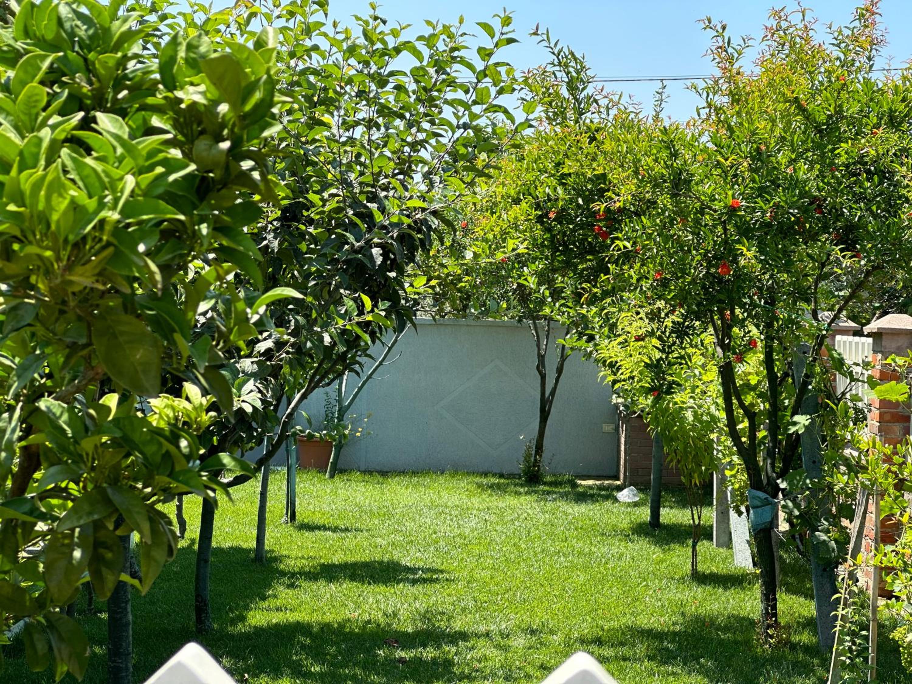 Lalzi Rental apartments