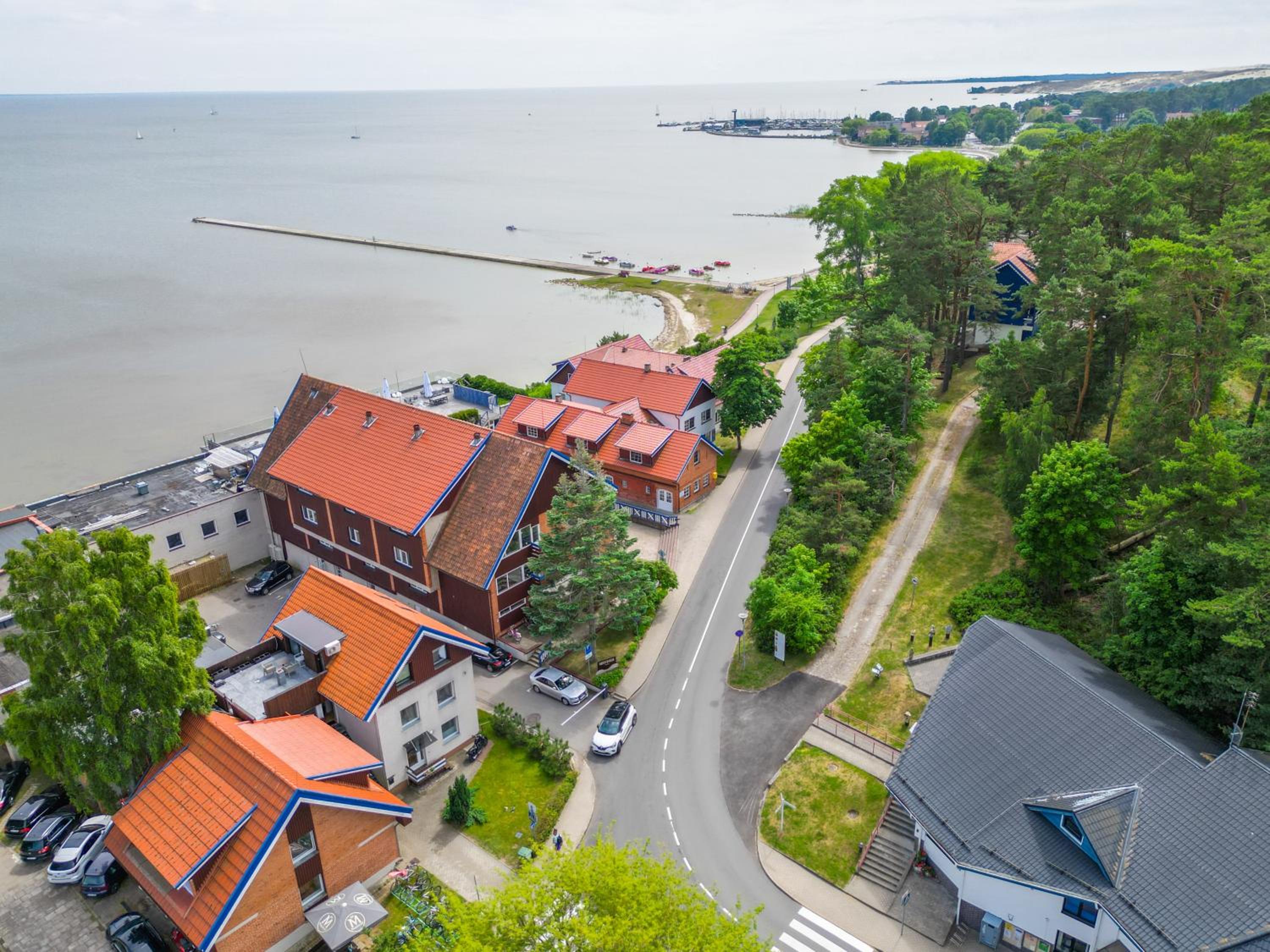 Skruzdynė