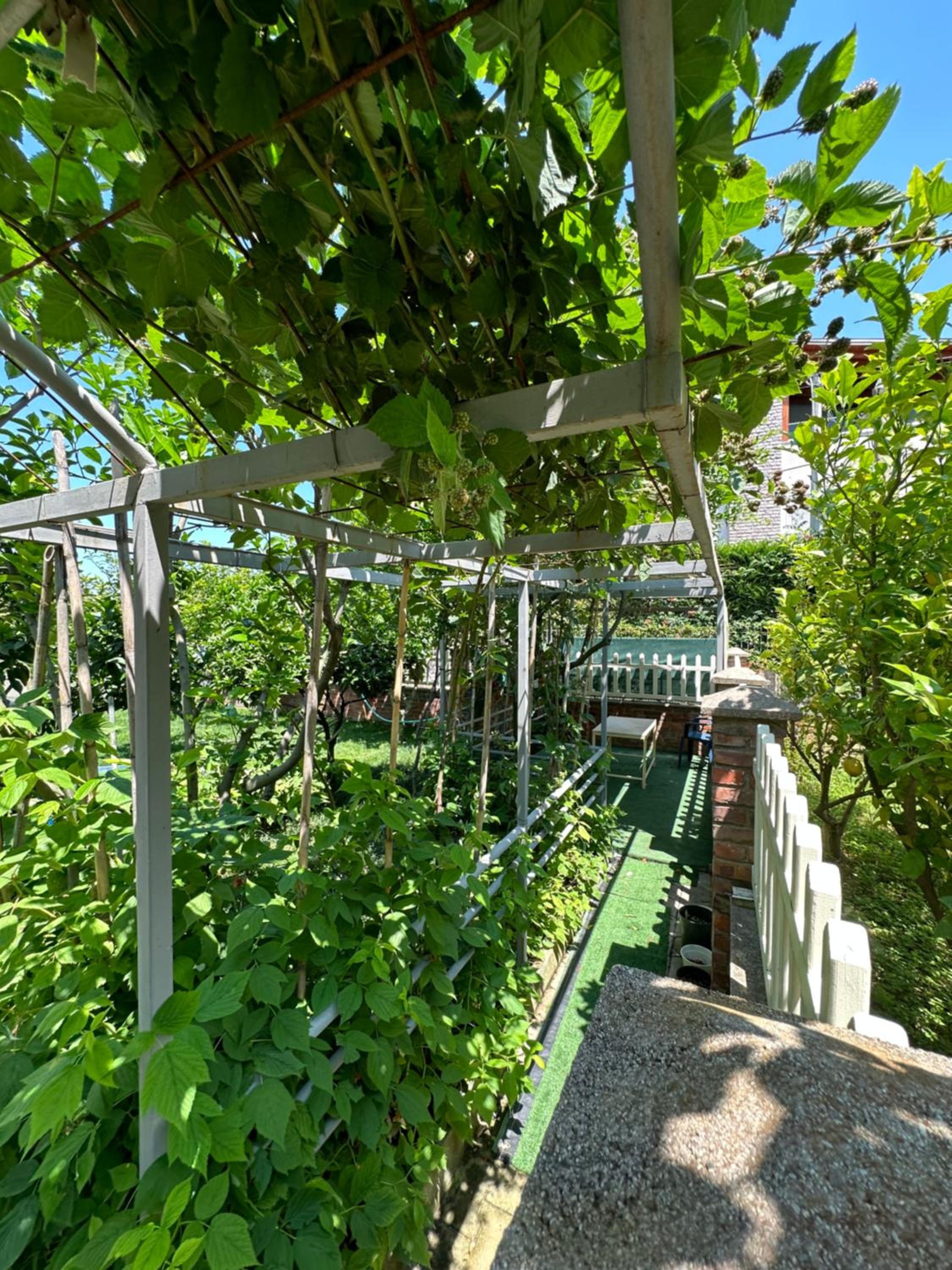 Lalzi Rental apartments