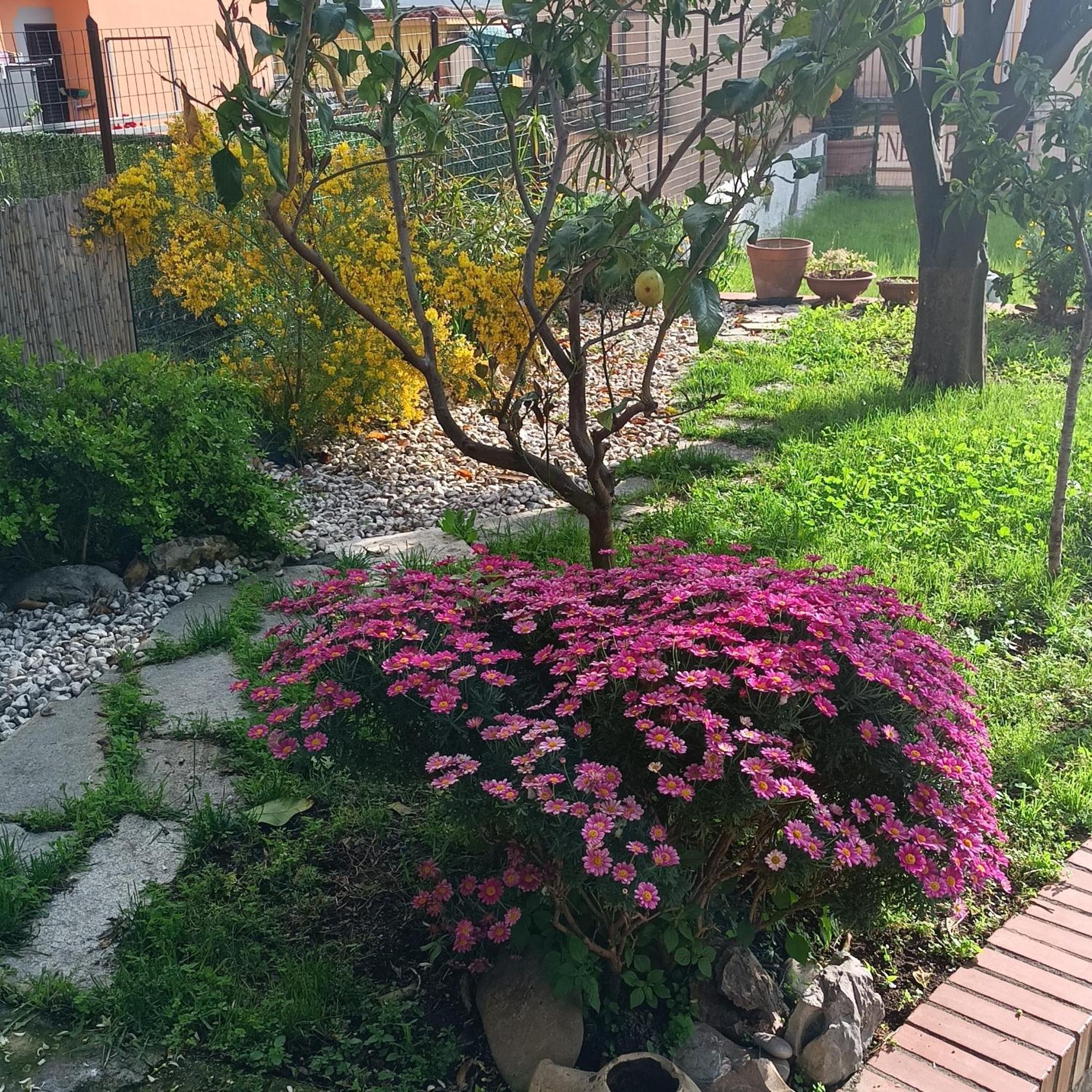 Ninfea Apartment Superior photo 5