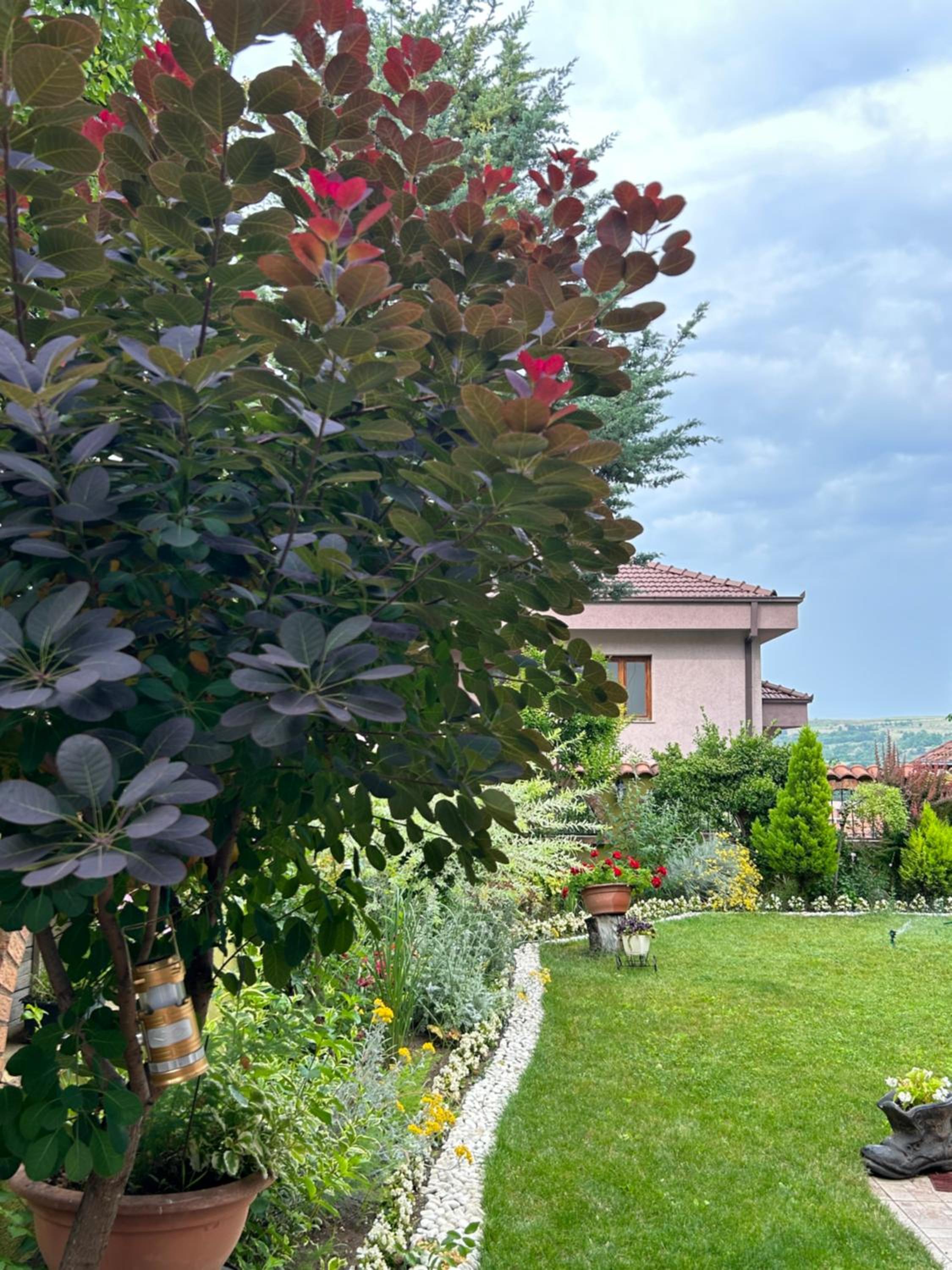 Lux Garden Home D view 5