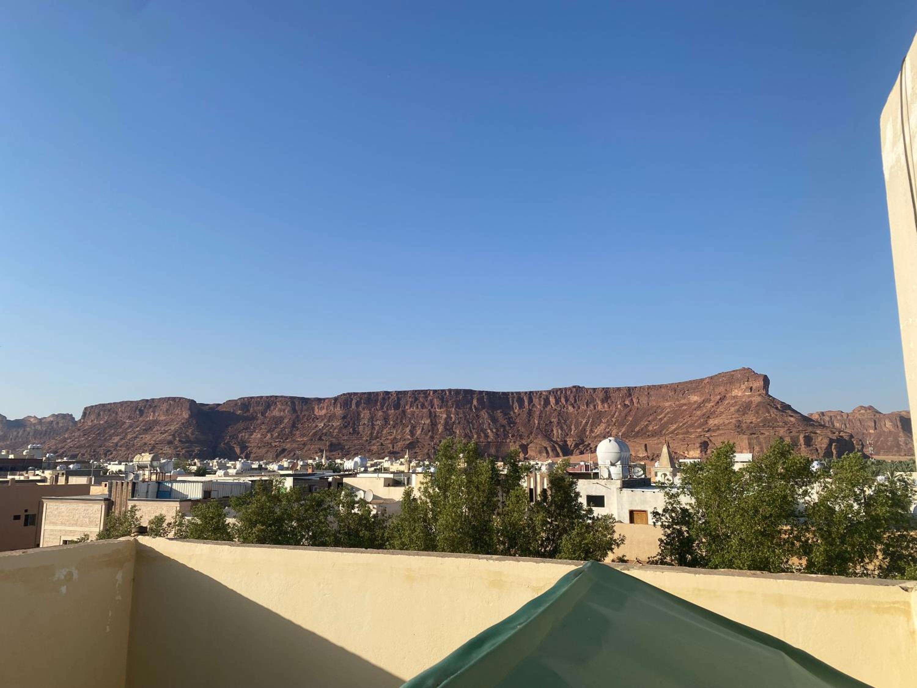 Wind alula