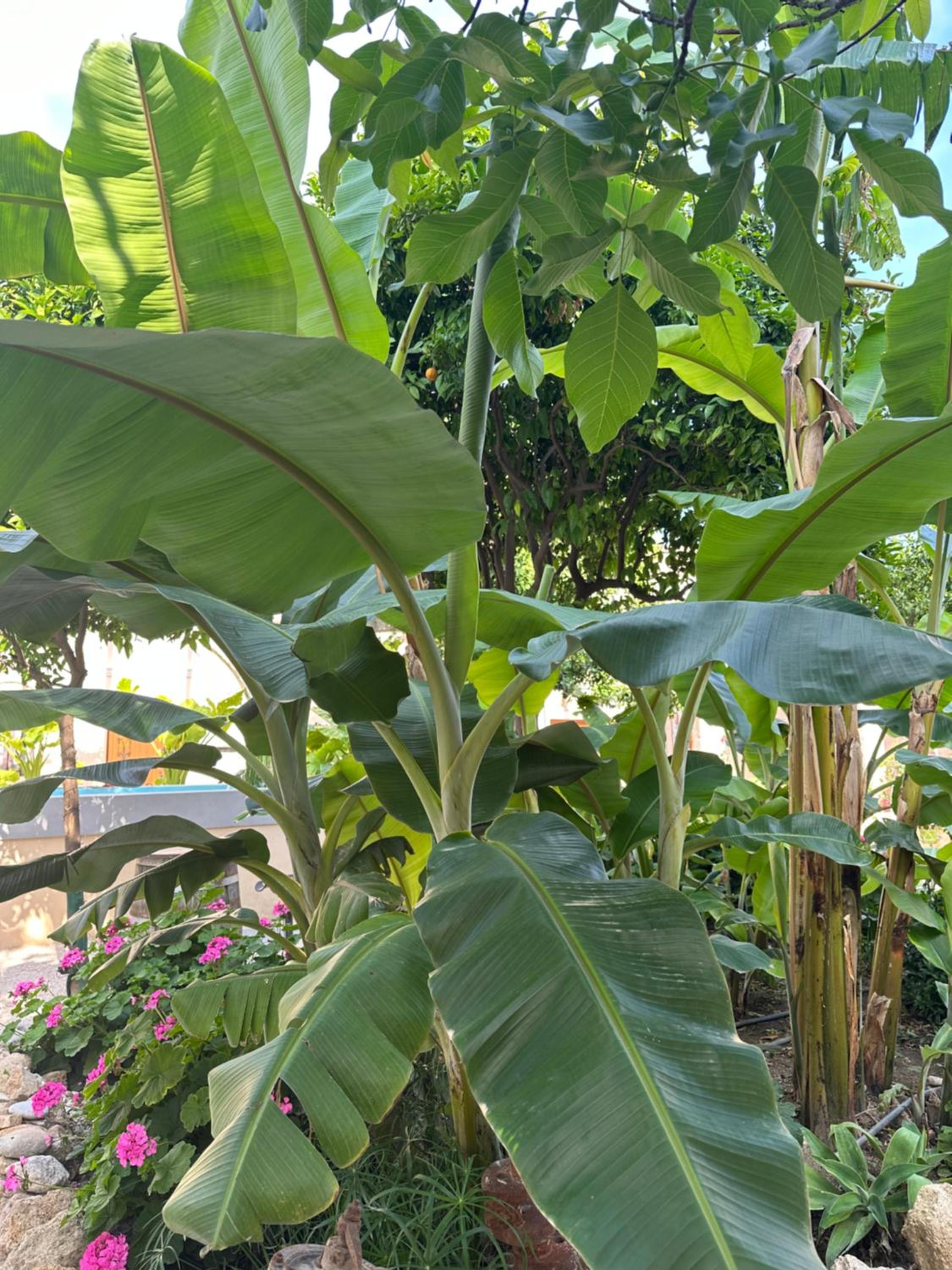 Photo 74