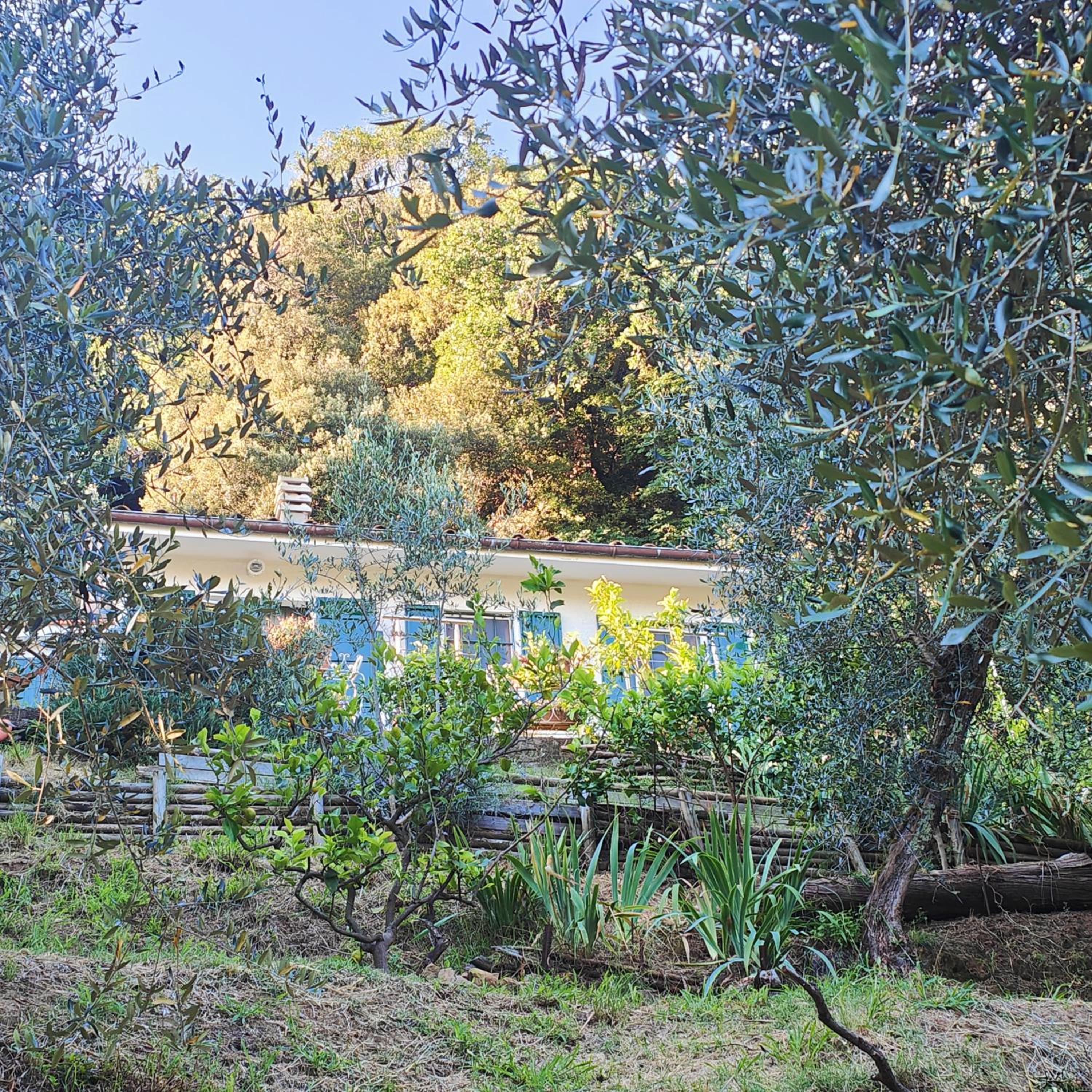 Massaciuccoli Romana