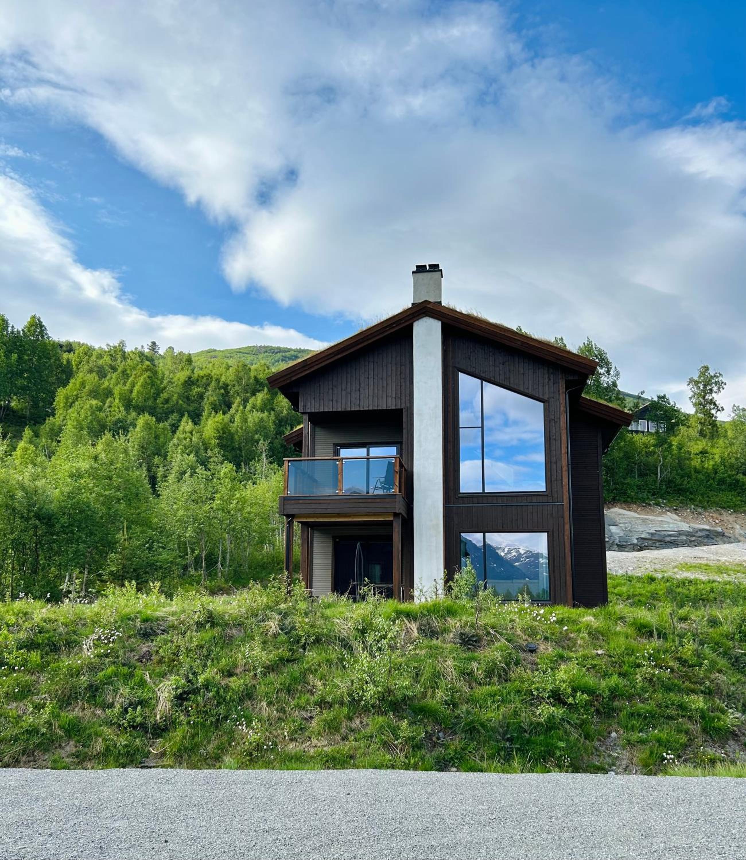 Ground Floor Exclusive Apartment with Sauna - Near Geiranger and the Norwegian Fjords view 3