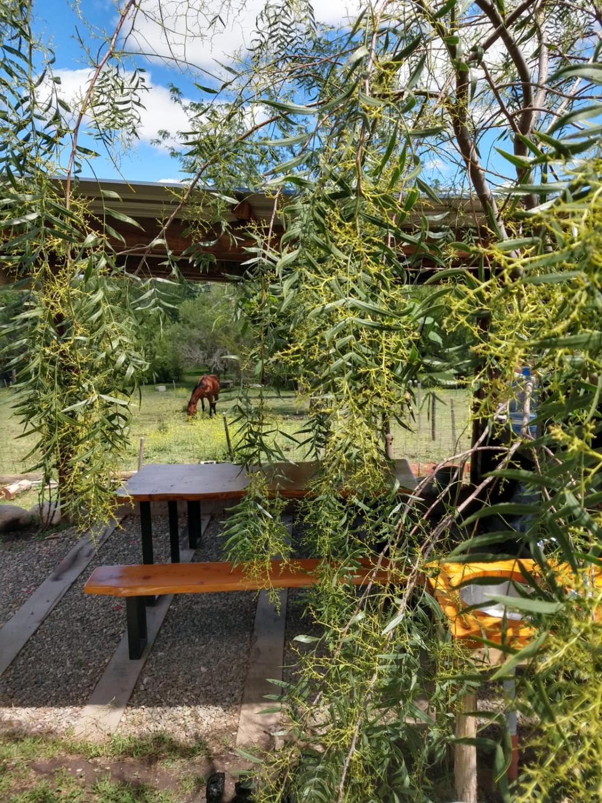Abrazados Suites del Valle