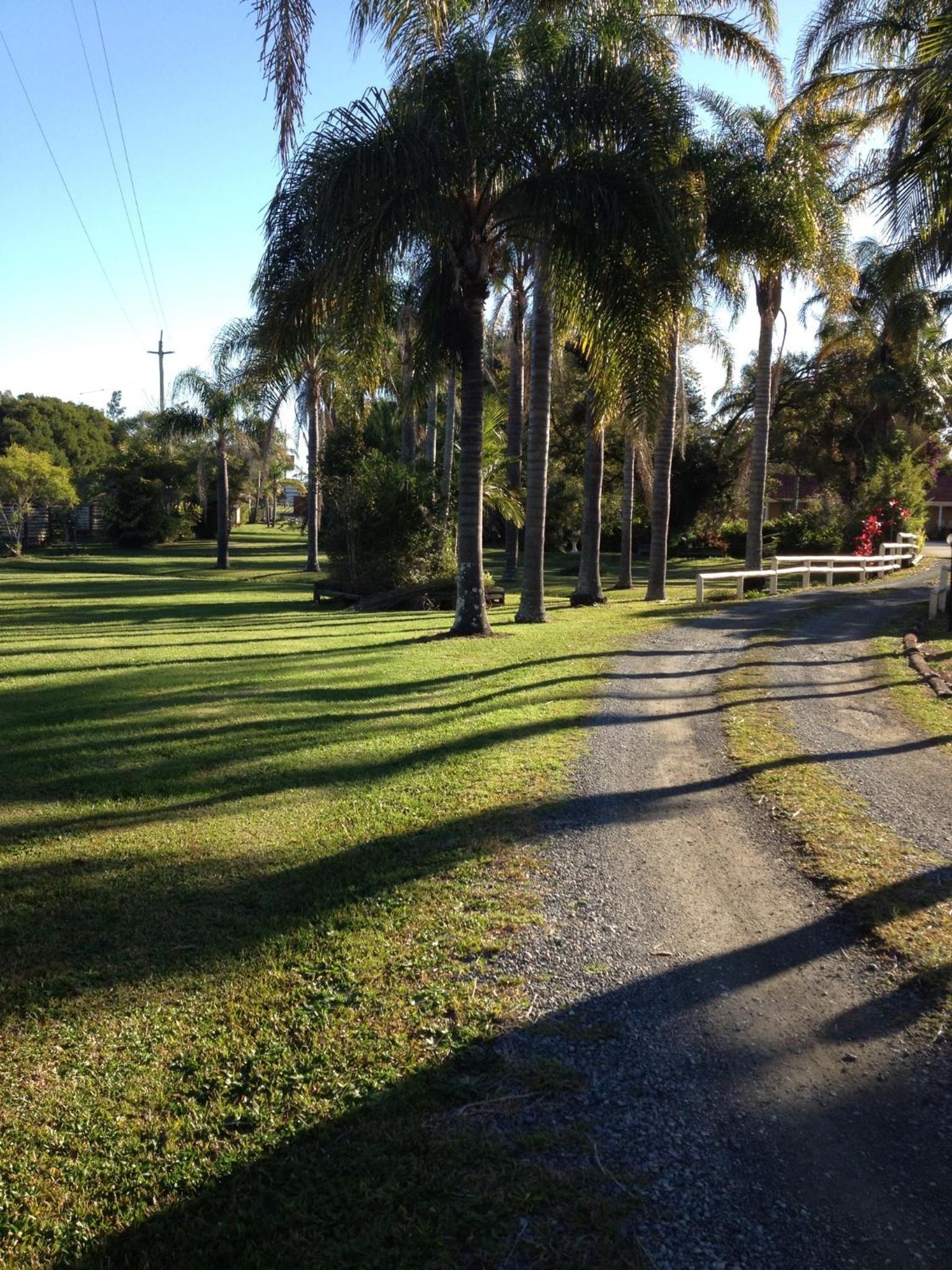 Photo 37