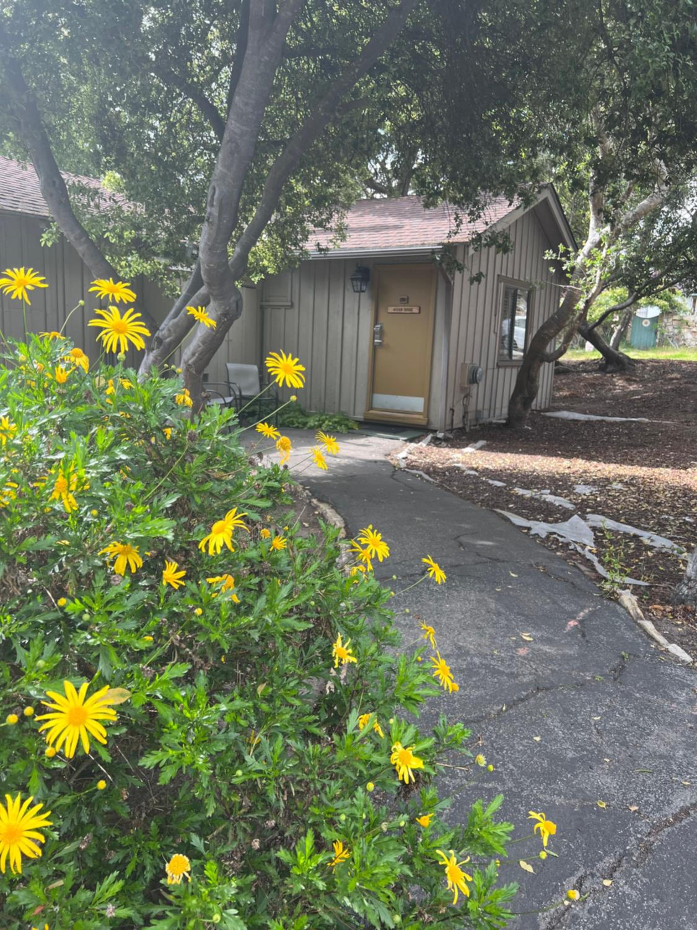 Carmel Resort Inn - Property Image 117