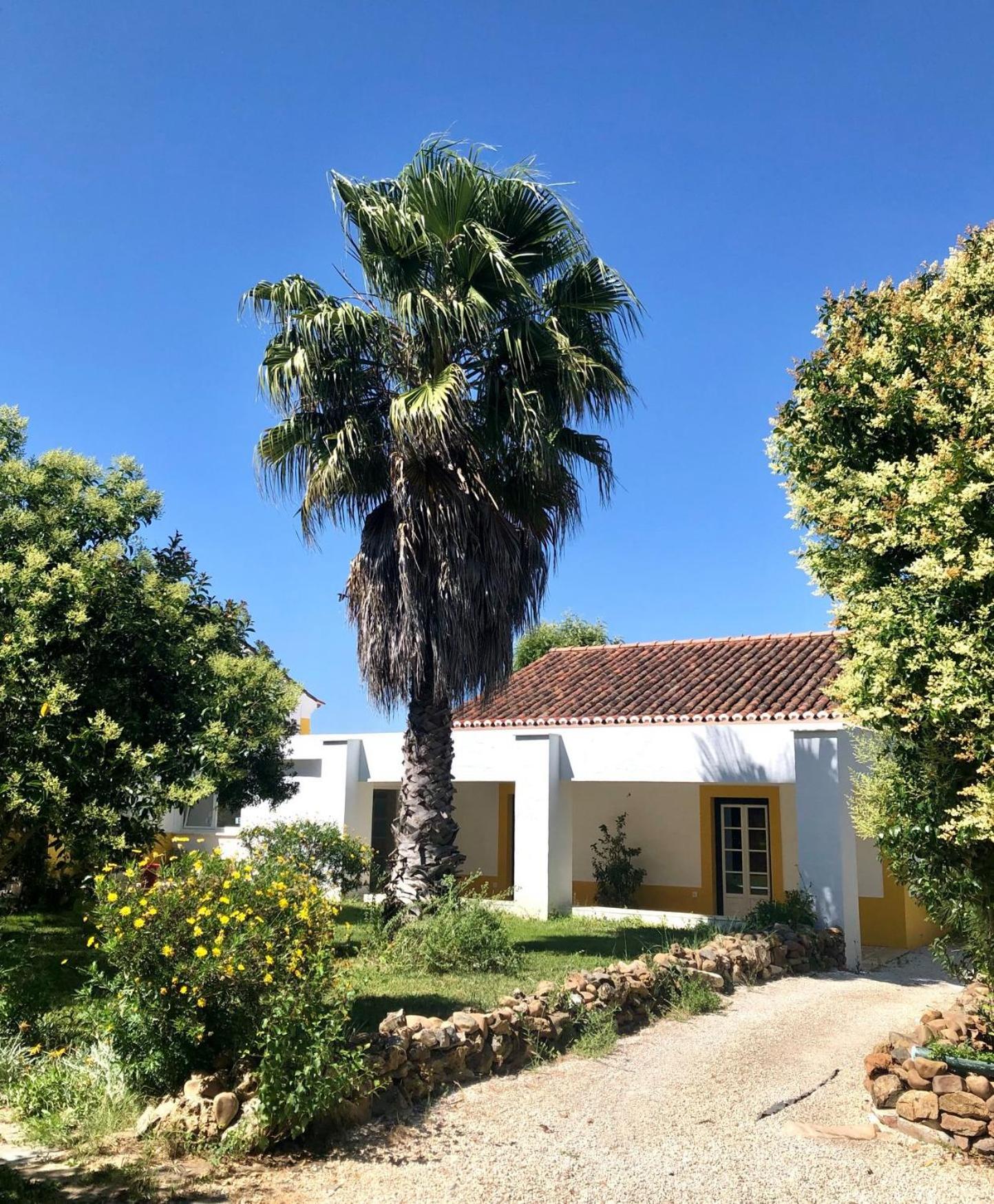Quinta da Trombeta view 3