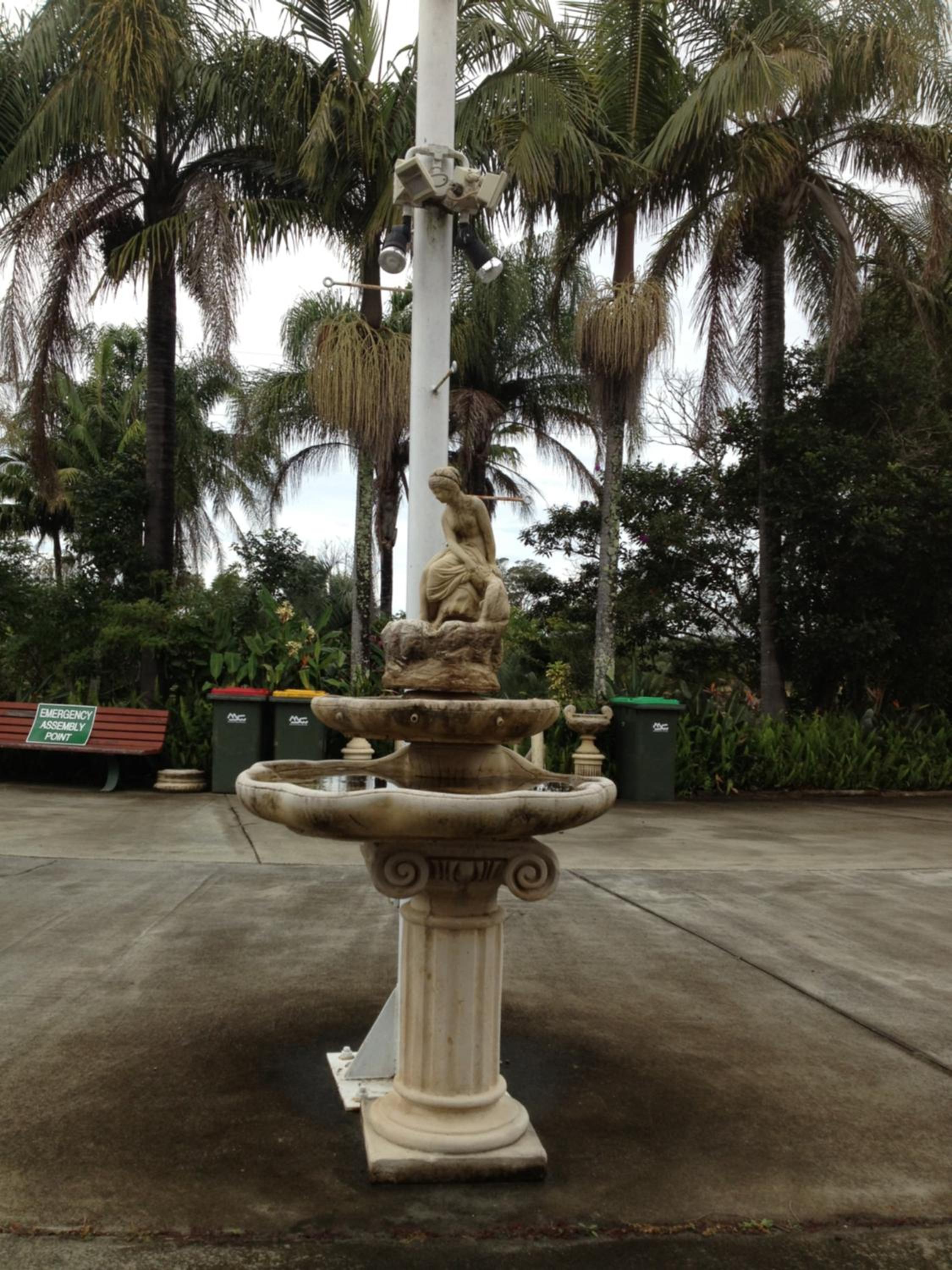 Photo 41
