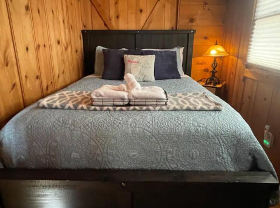 Cozy Bear Cabin with Spa view 2