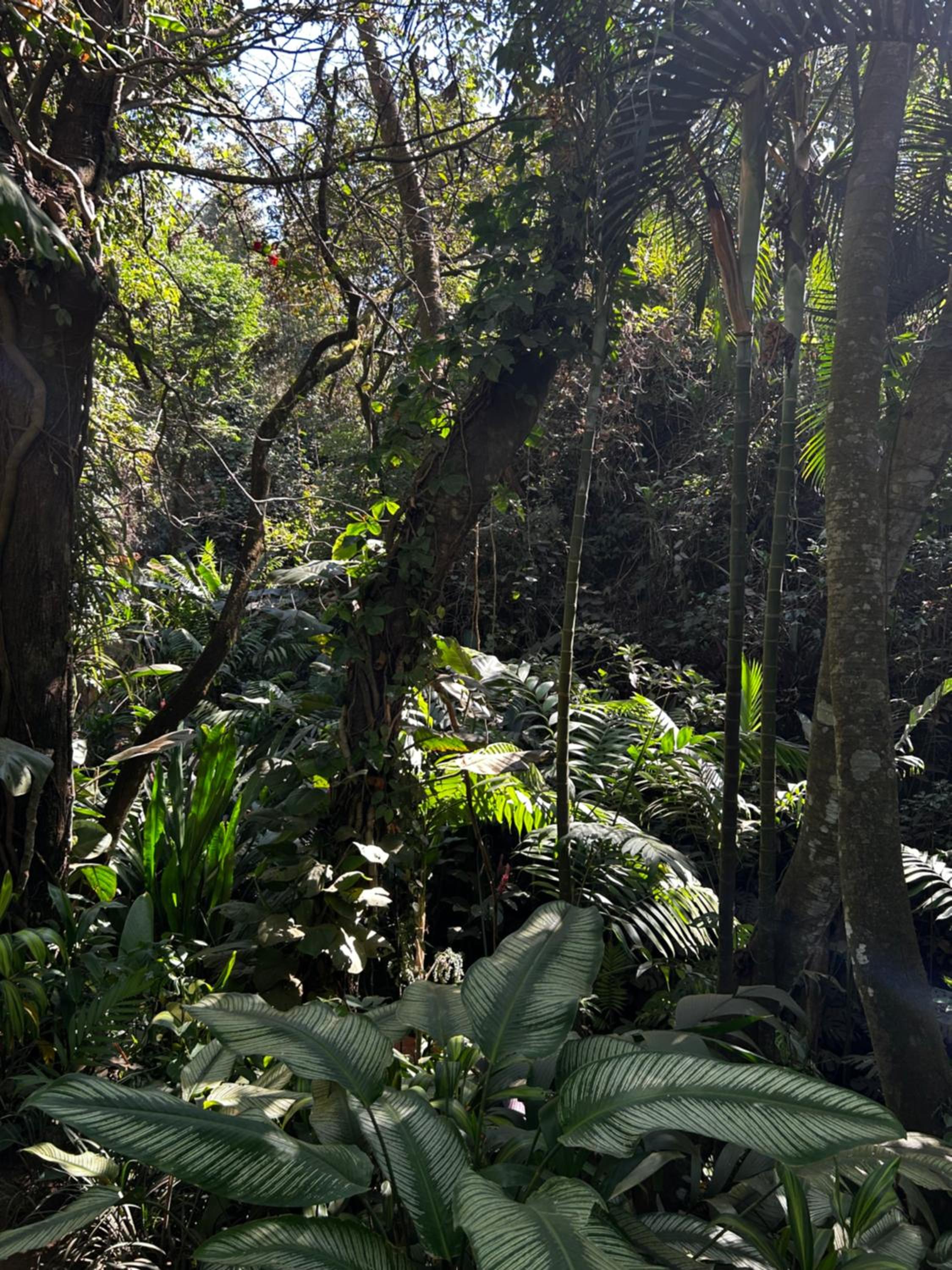 Eco Villas Tambor Tucanes