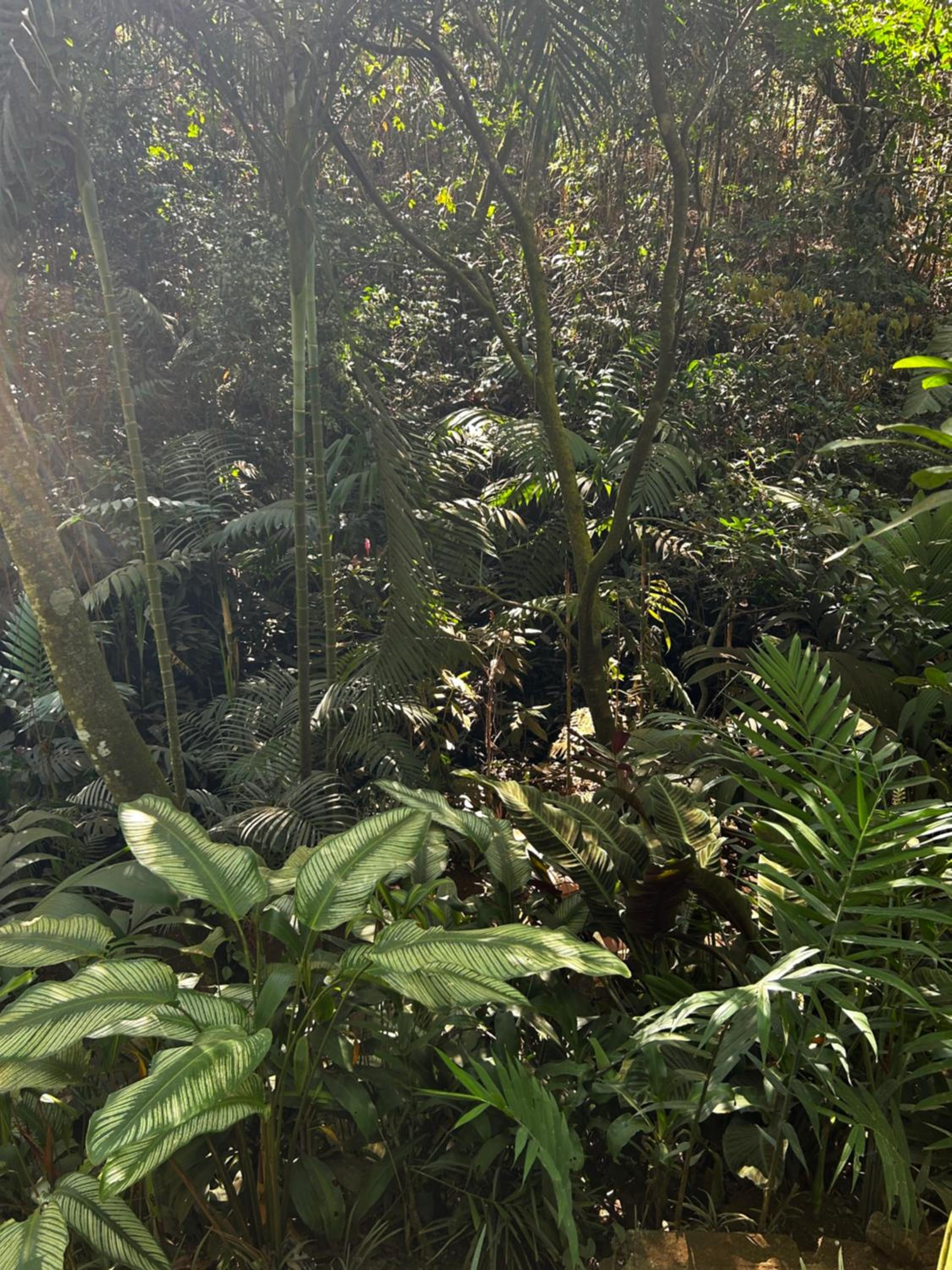 Eco Villas Tambor Tucanes