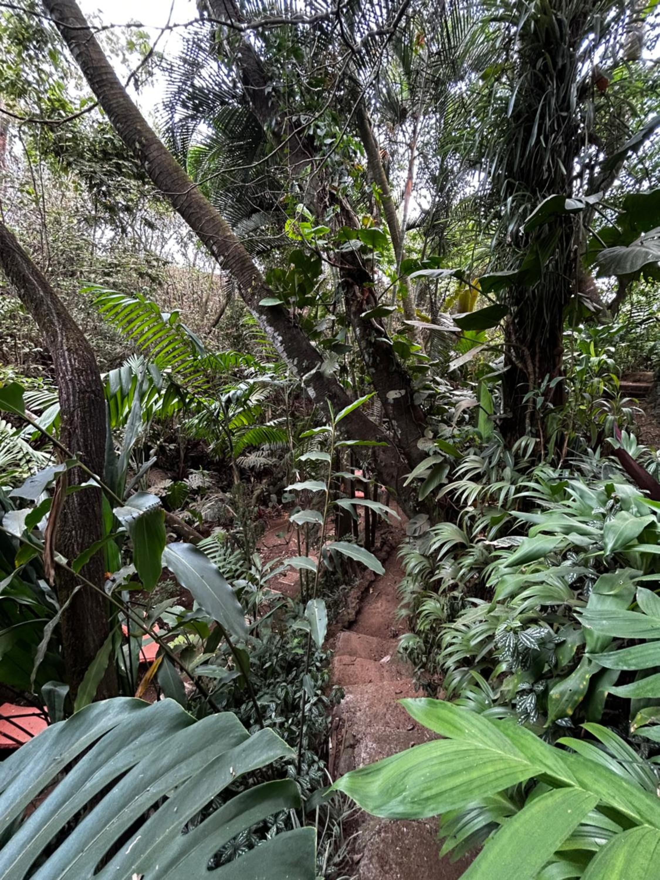 Eco Villas Tambor Tucanes