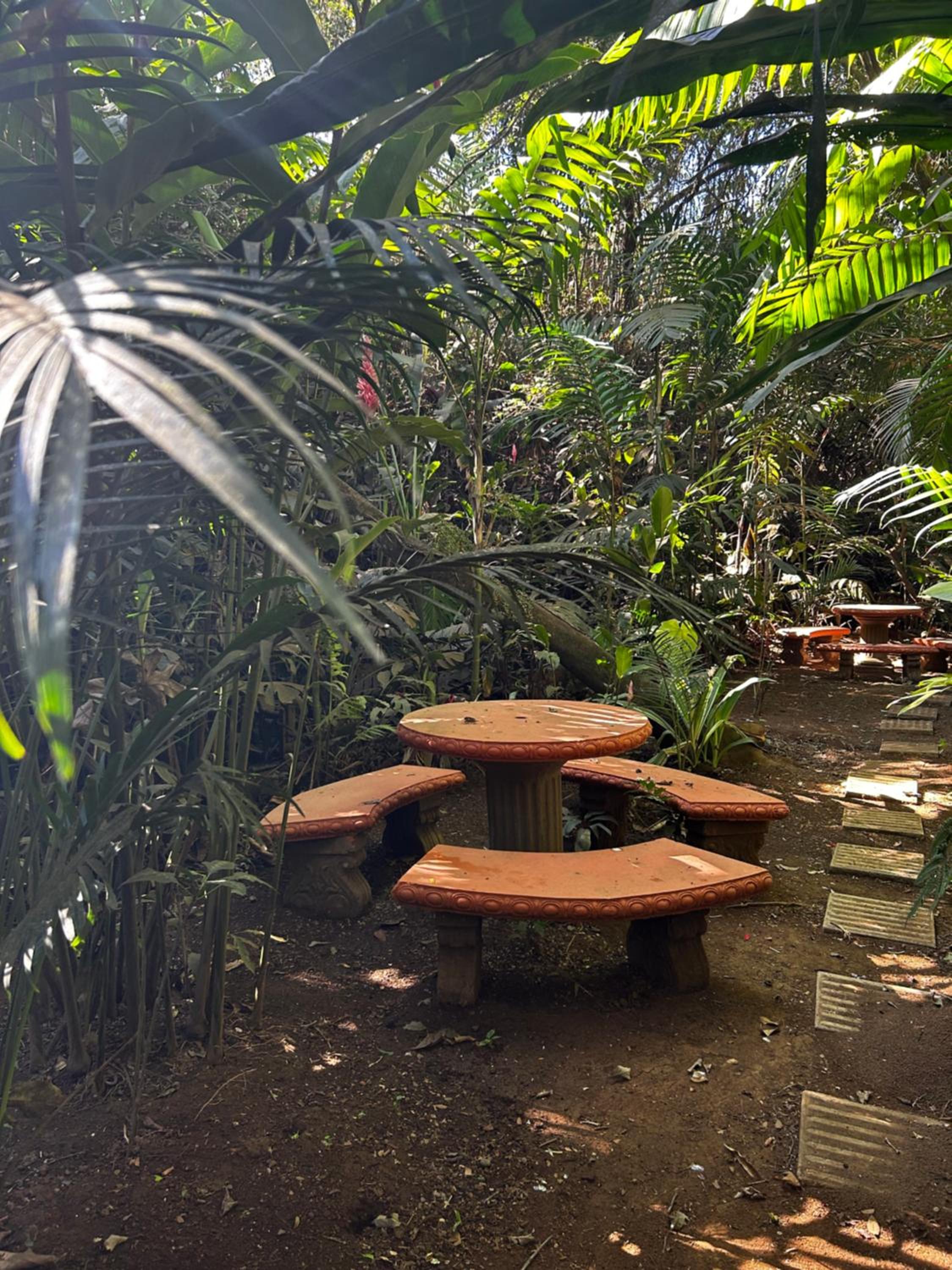 Eco Villas Tambor Tucanes