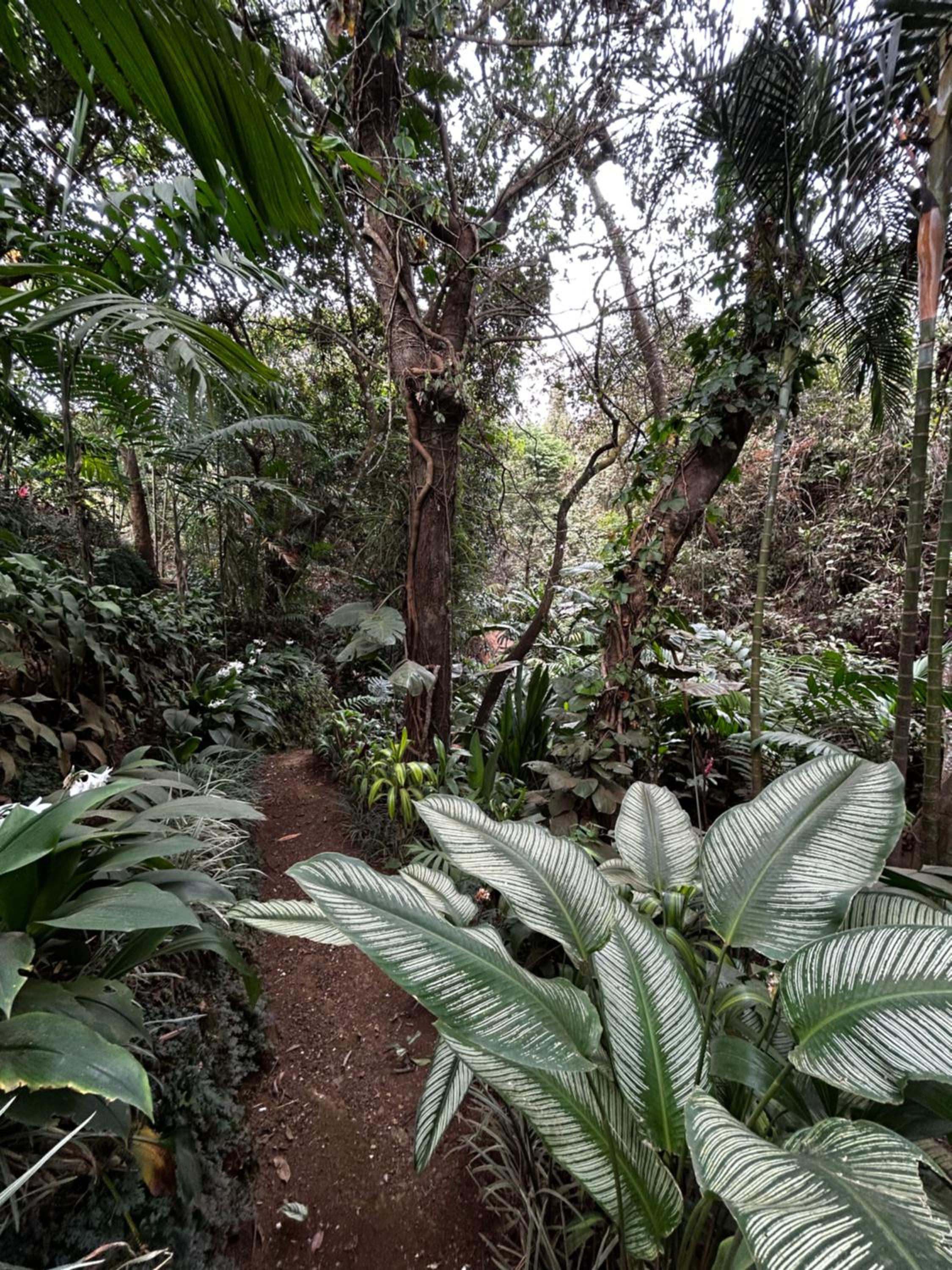 Eco Villas Tambor Tucanes