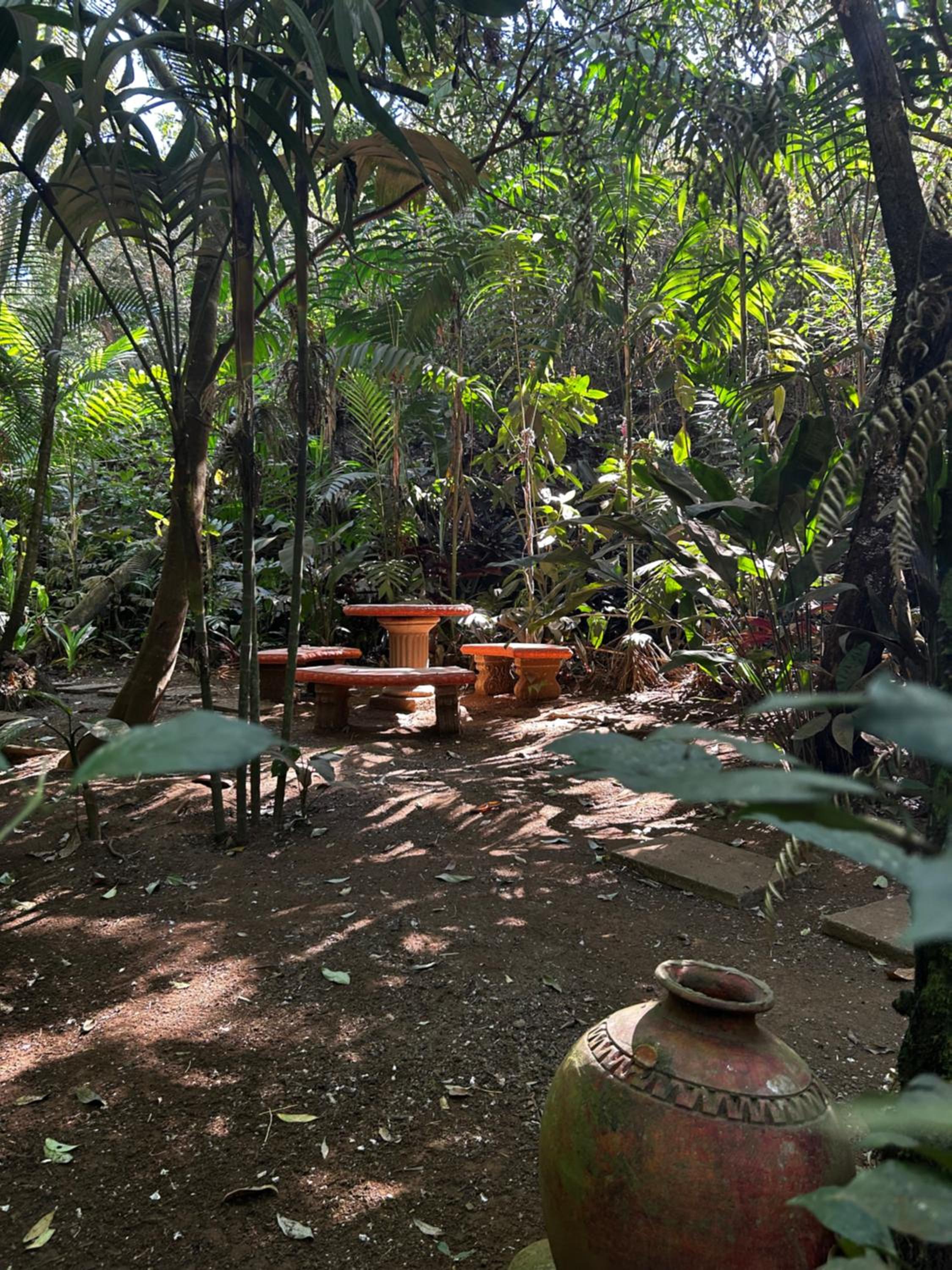 Eco Villas Tambor Tucanes
