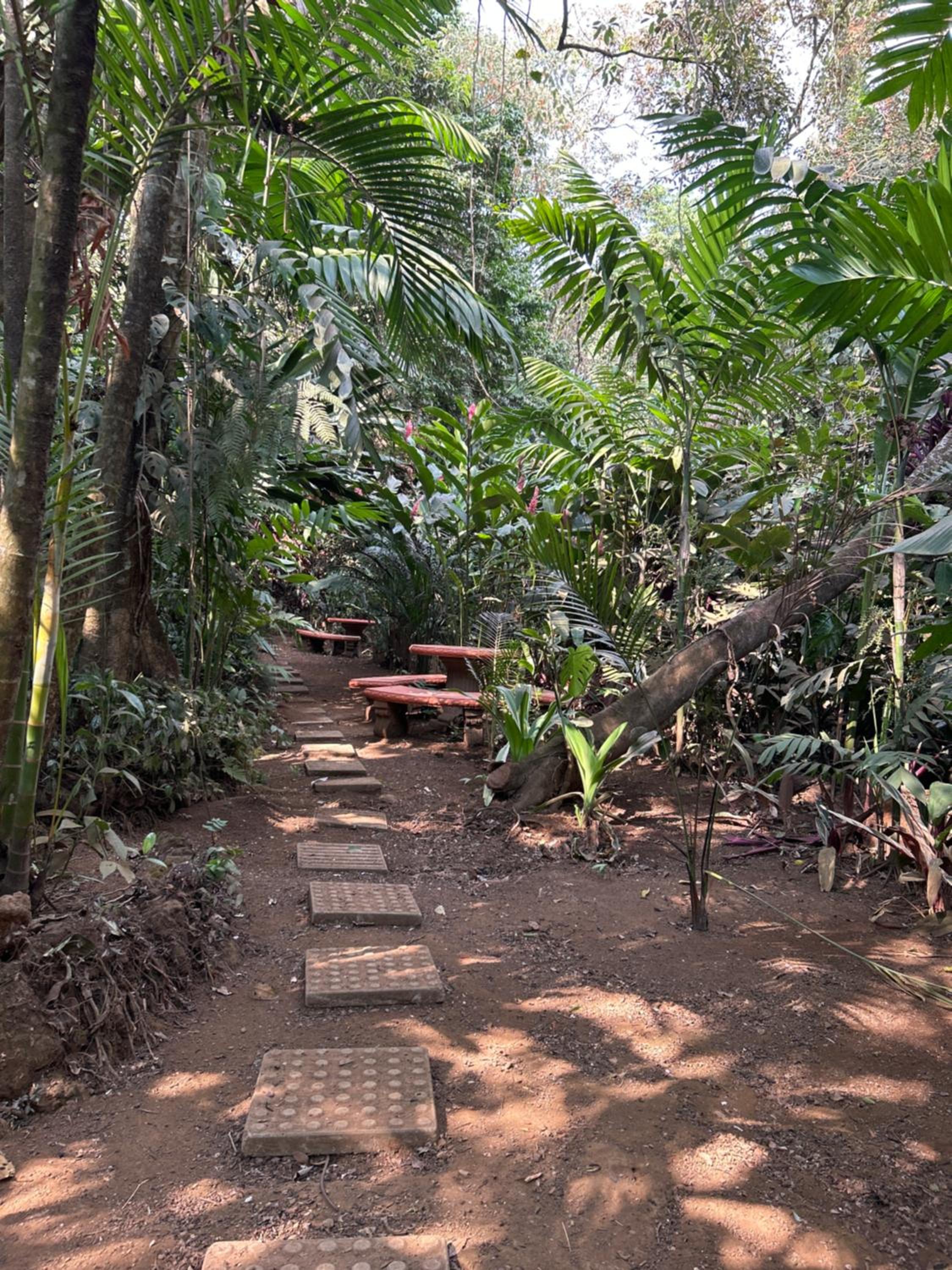 Eco Villas Tambor Tucanes