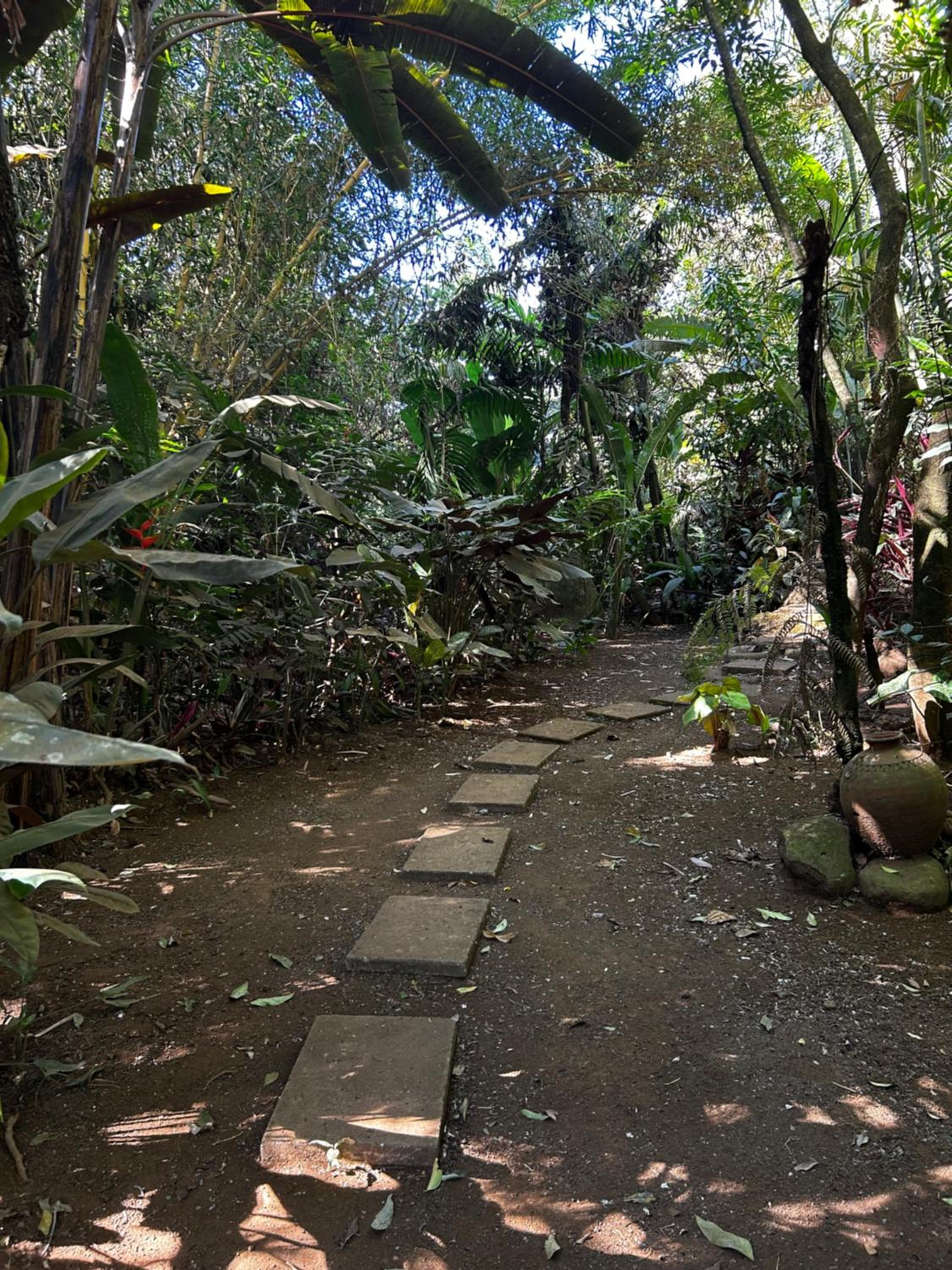 Eco Villas Tambor Tucanes