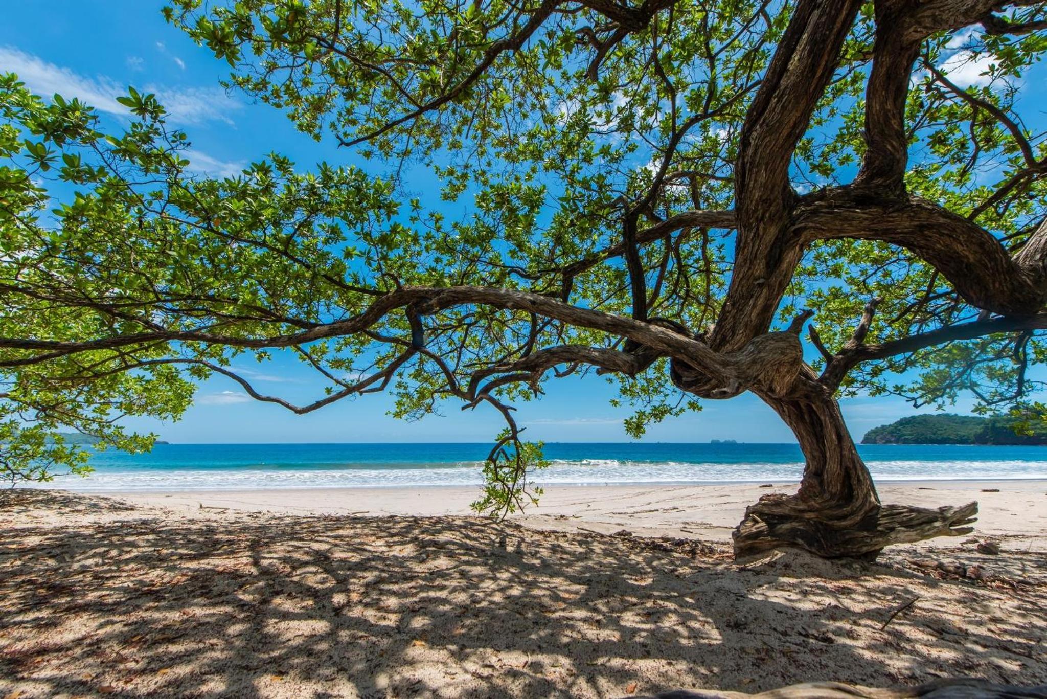 FT-29 Flamingo Towers