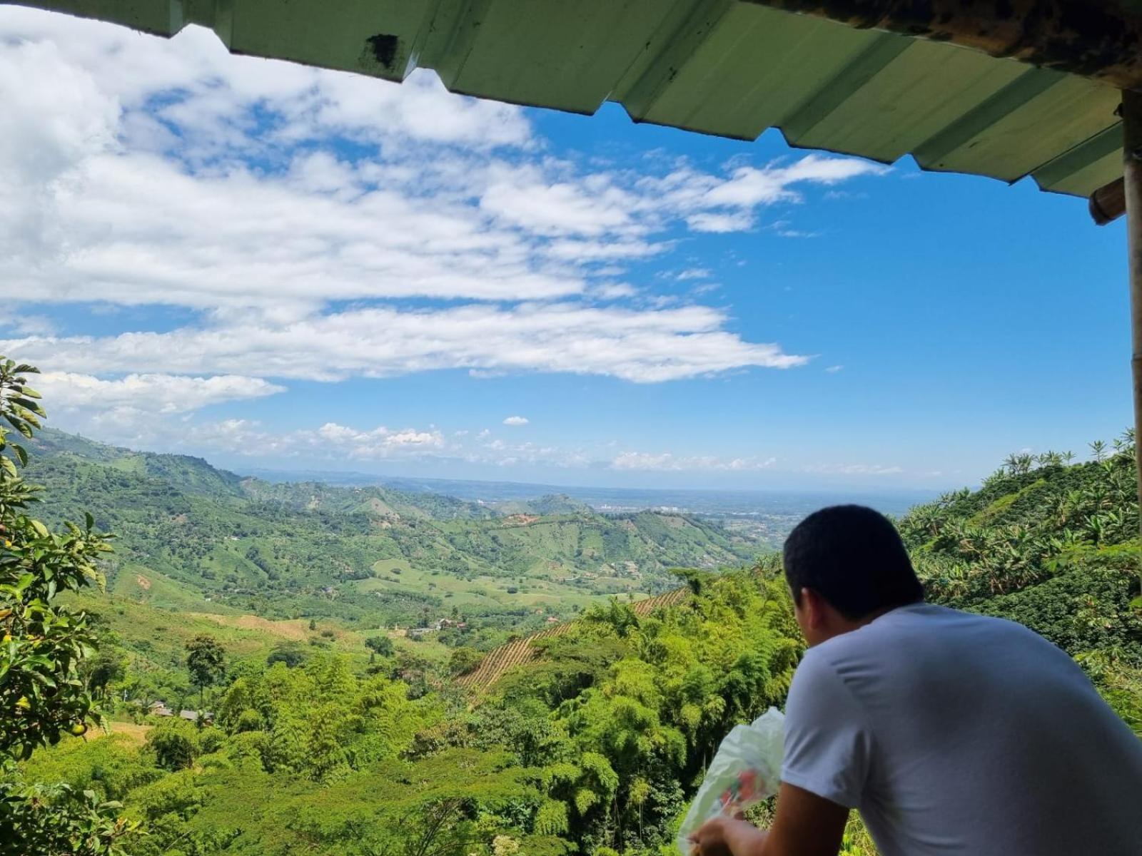 Cabaña el Ensueño (GUADUA, BAMBU)