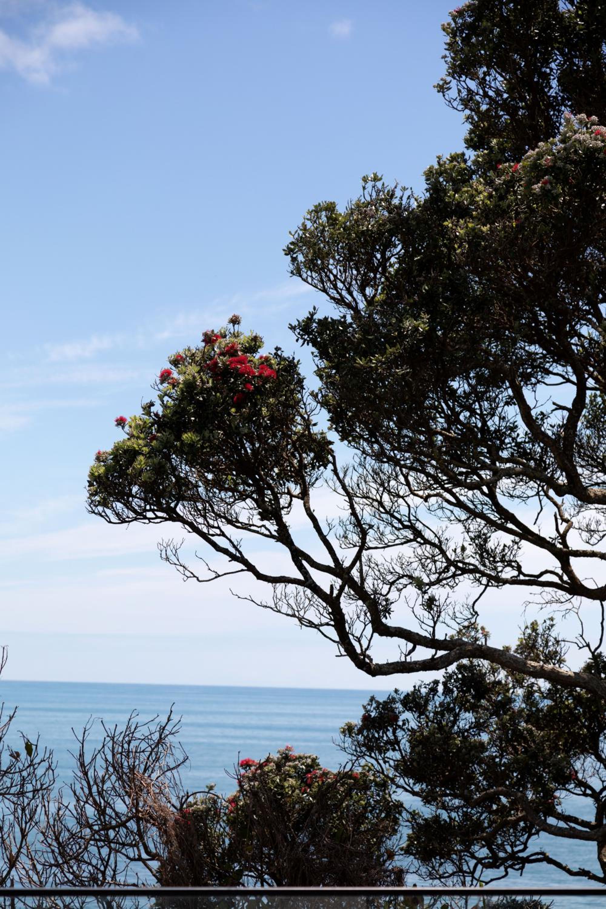 Oakura Beach Front Apartments