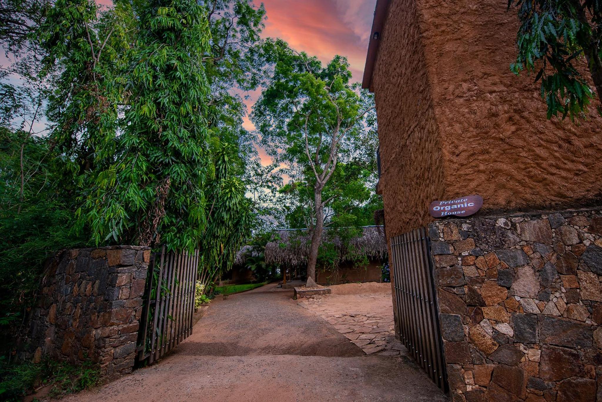 Private Organic House view 4